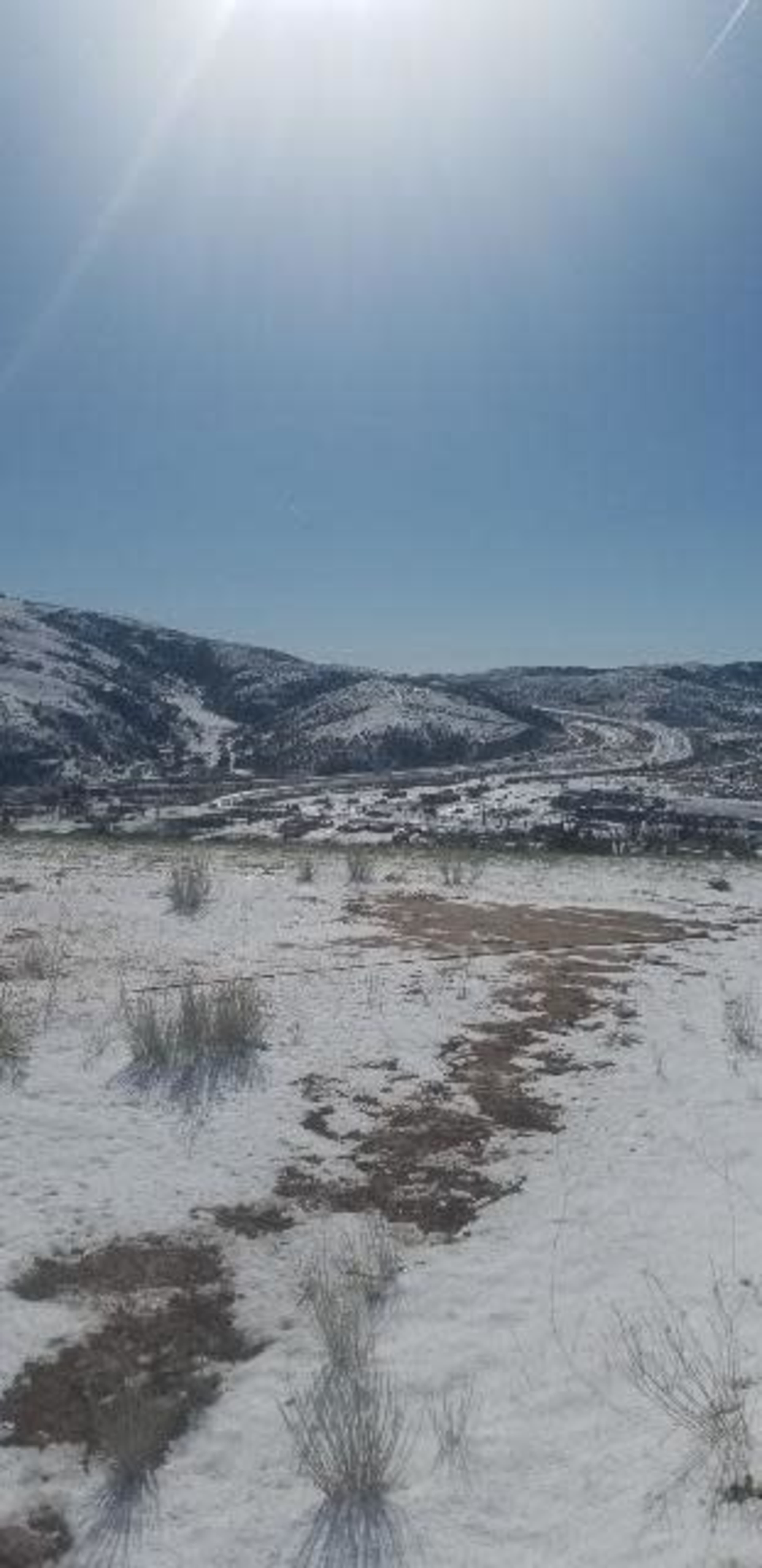 A snow-covered landscape with rolling hills and sparse vegetation under a clear blue sky.