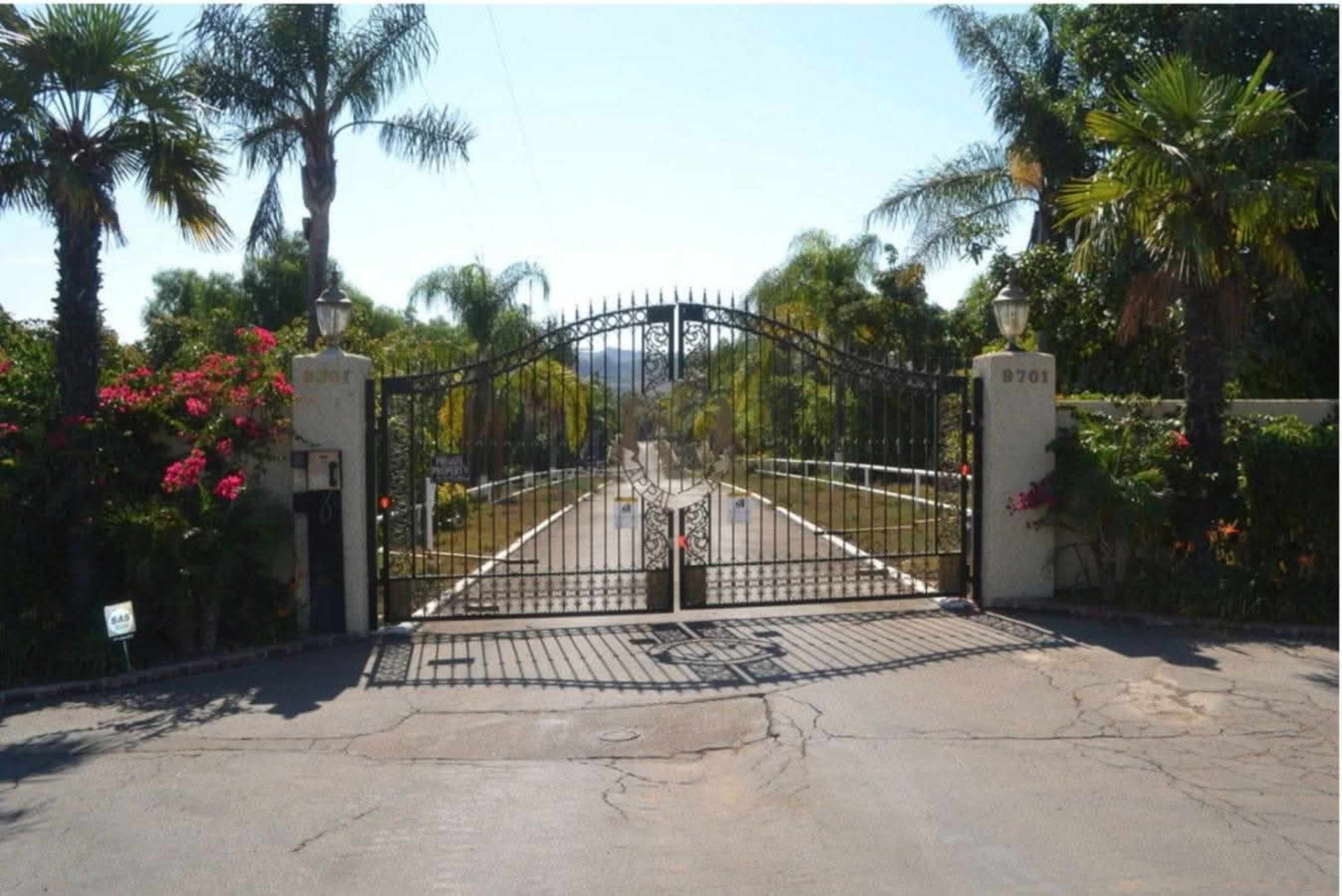 A wrought-iron gate with palm trees and flowering plants is seen at the entrance of a long driveway.