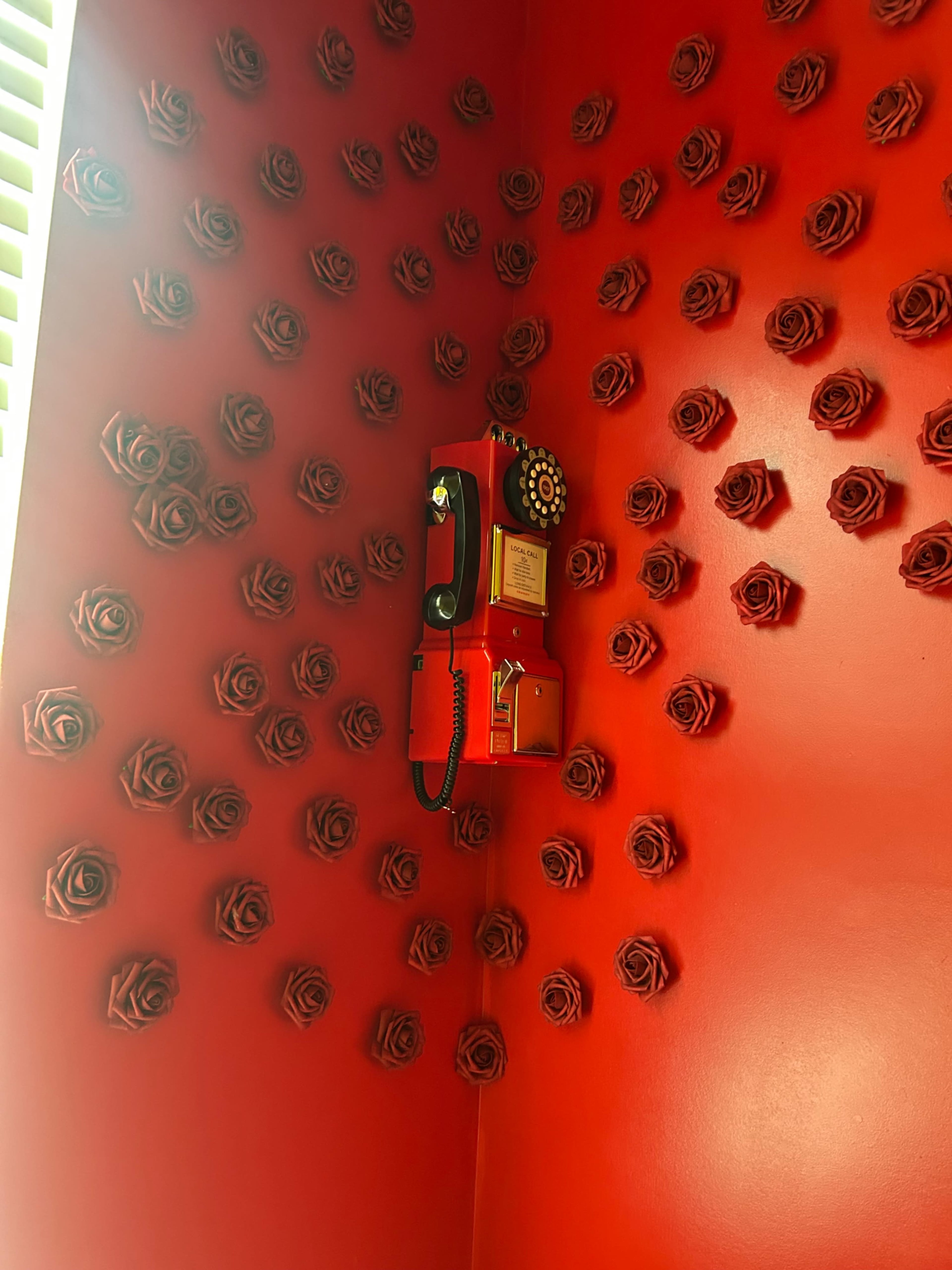 Southside Photography Studio Image in Montclaire South, Charlotte, NC