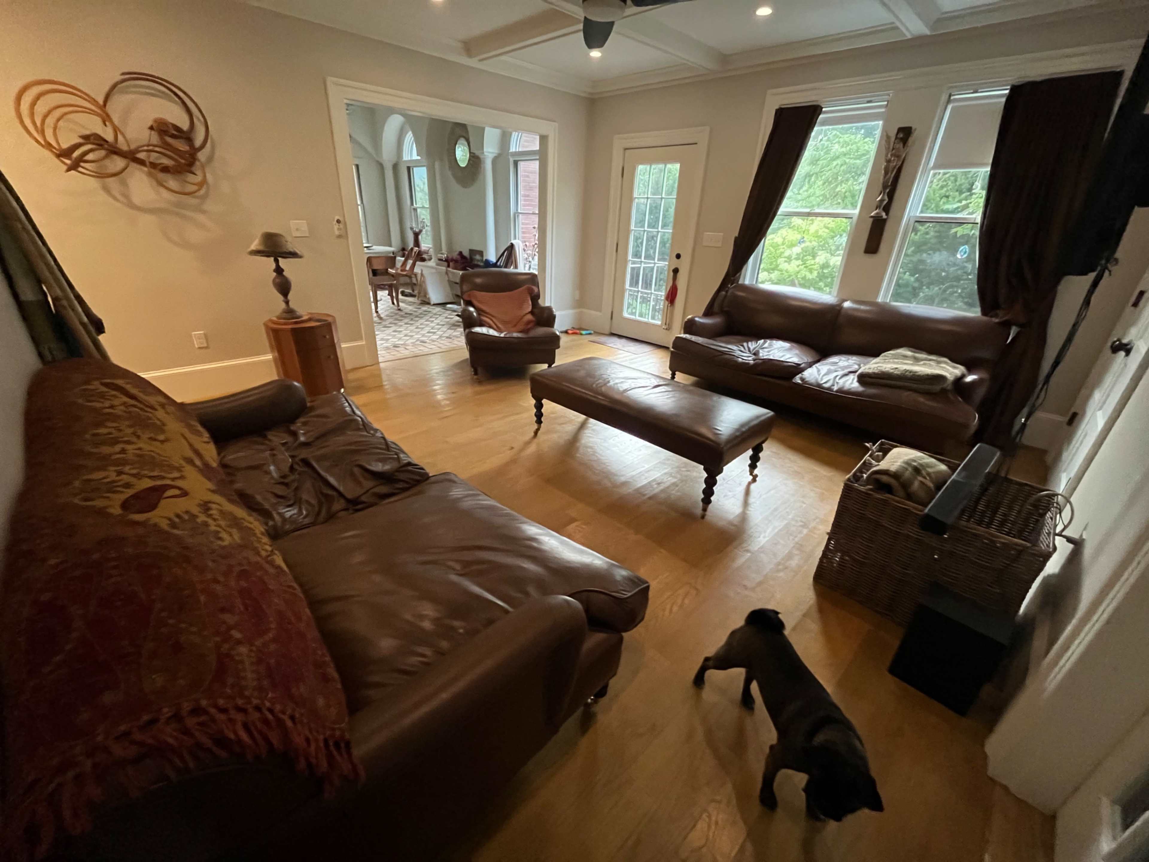 A living room features a brown leather sofa and armchairs, a wooden coffee table, a lamp on a side table, and a dog on the floor.