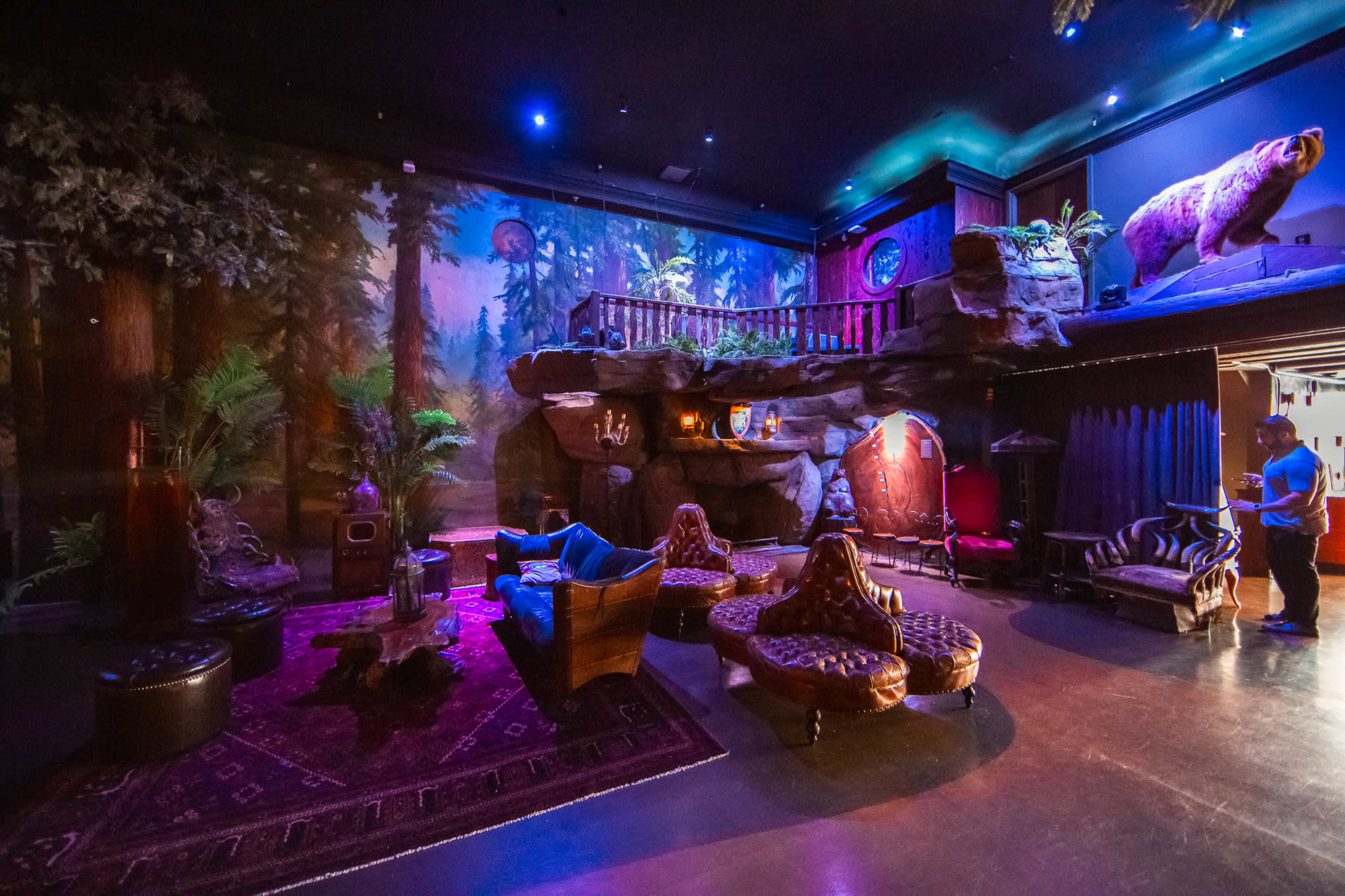 The image shows a stylized lounge area with eclectic seating, a vibrant mural of a forest, and a mix of decorative elements including a large rock formation and a bear statue.