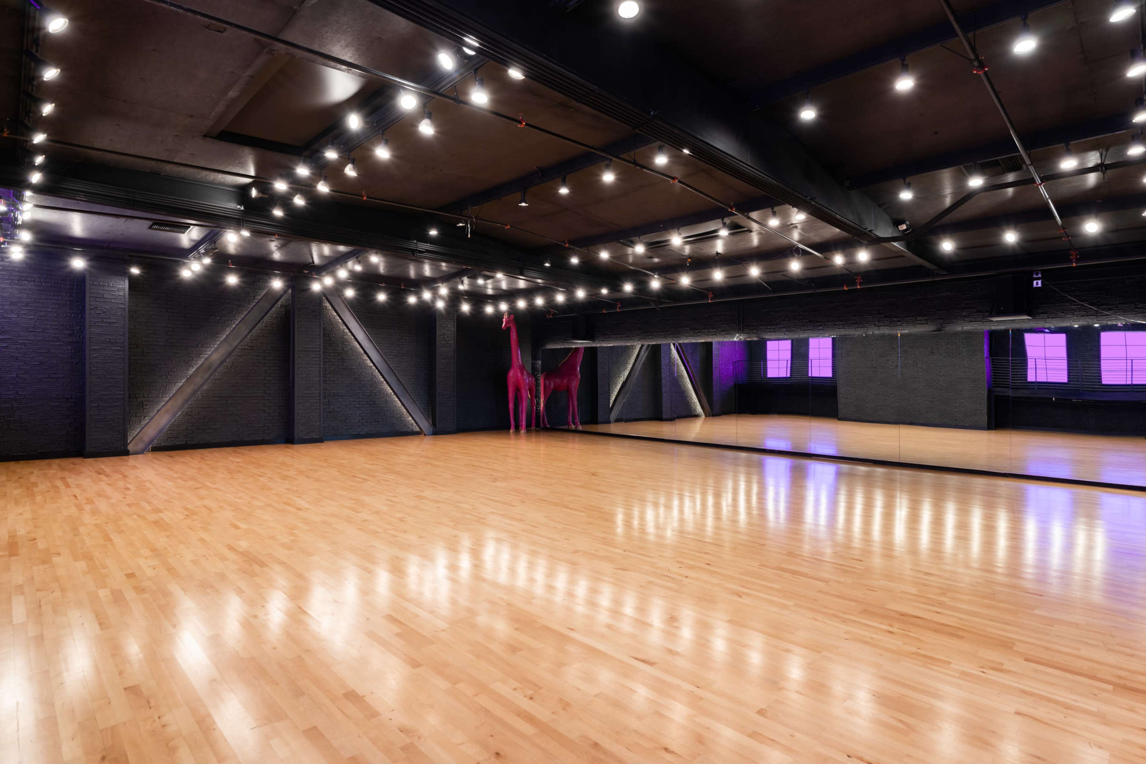 A spacious dance studio with wooden flooring, mirrored walls, and overhead string lights illuminating the space.
