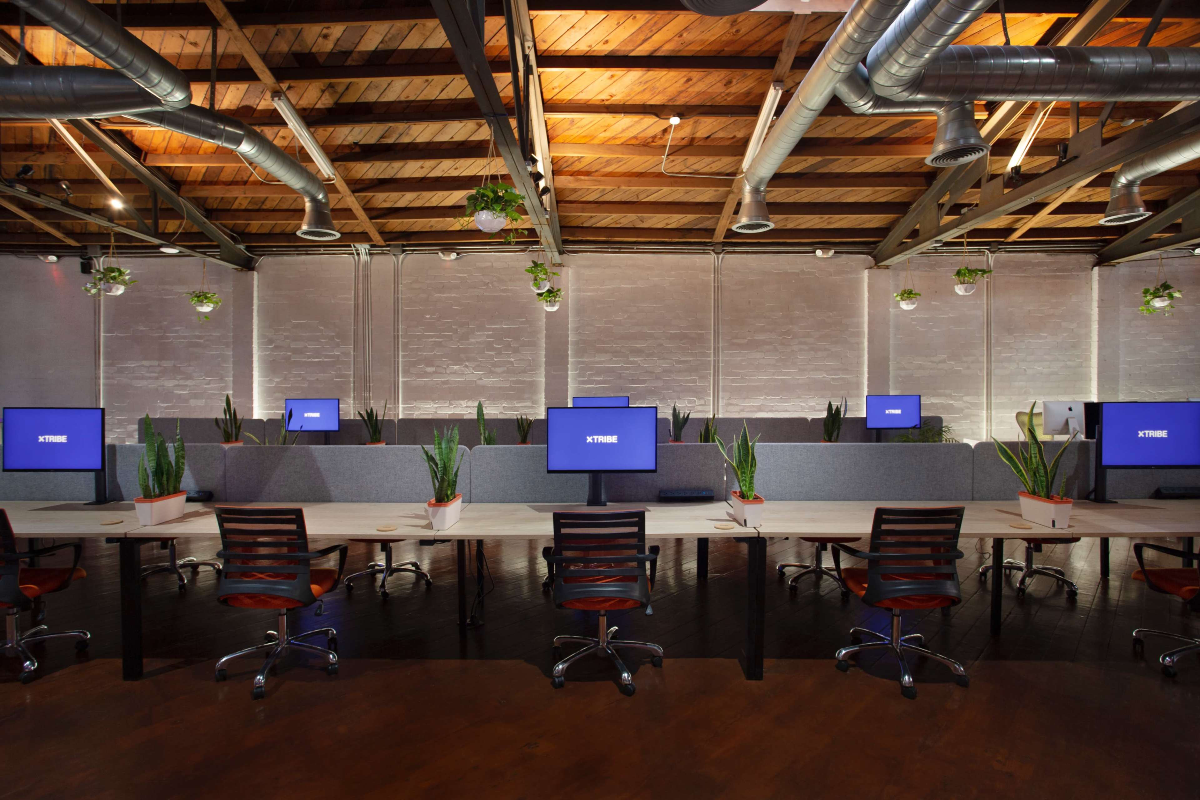 The image shows a modern office space with multiple workstations featuring computer monitors, surrounded by greenery and exposed wooden beams.