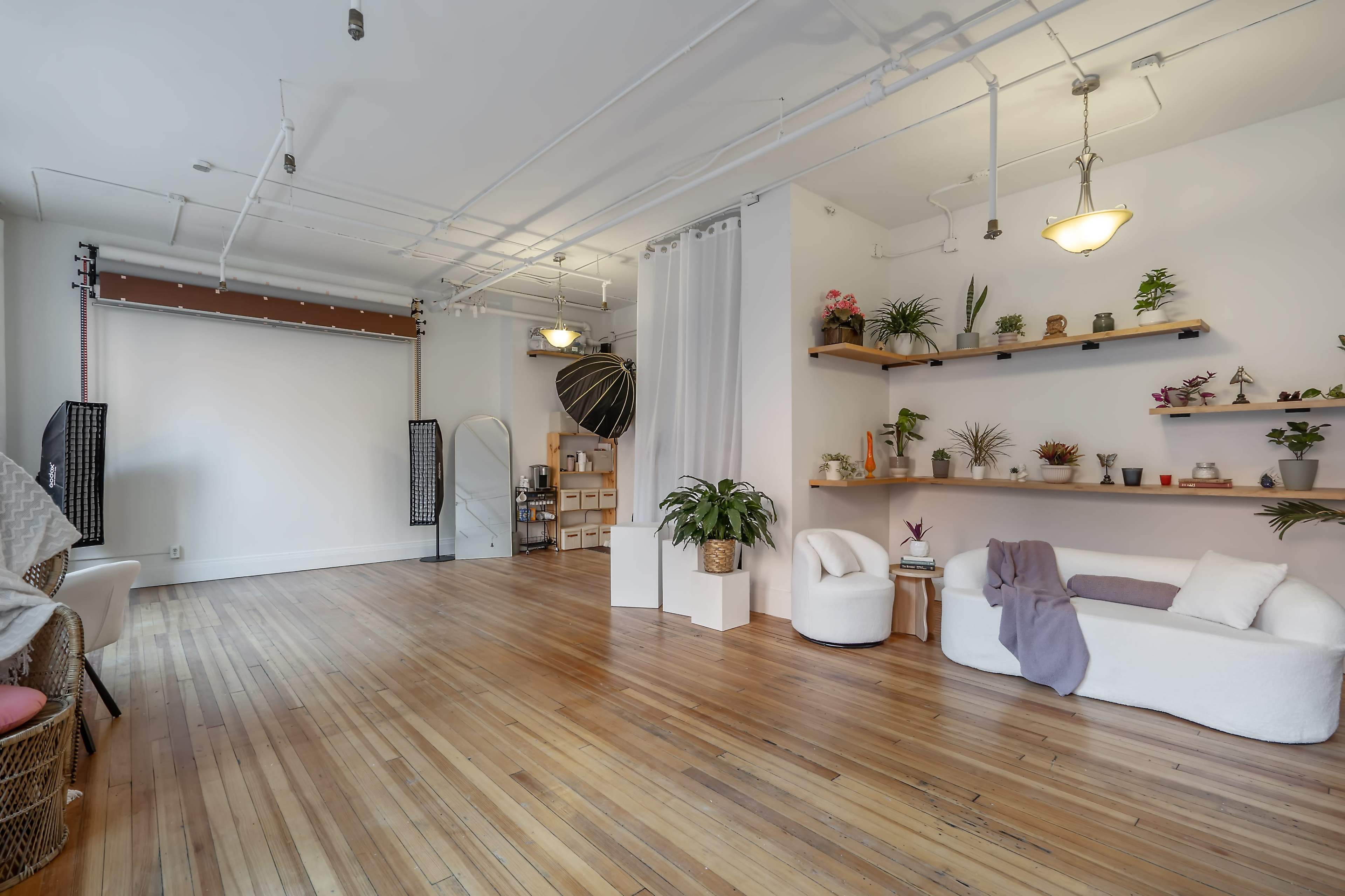 The image shows a spacious, minimalist interior with wooden flooring, white walls, and a few plants arranged on shelves, along with a small seating area.