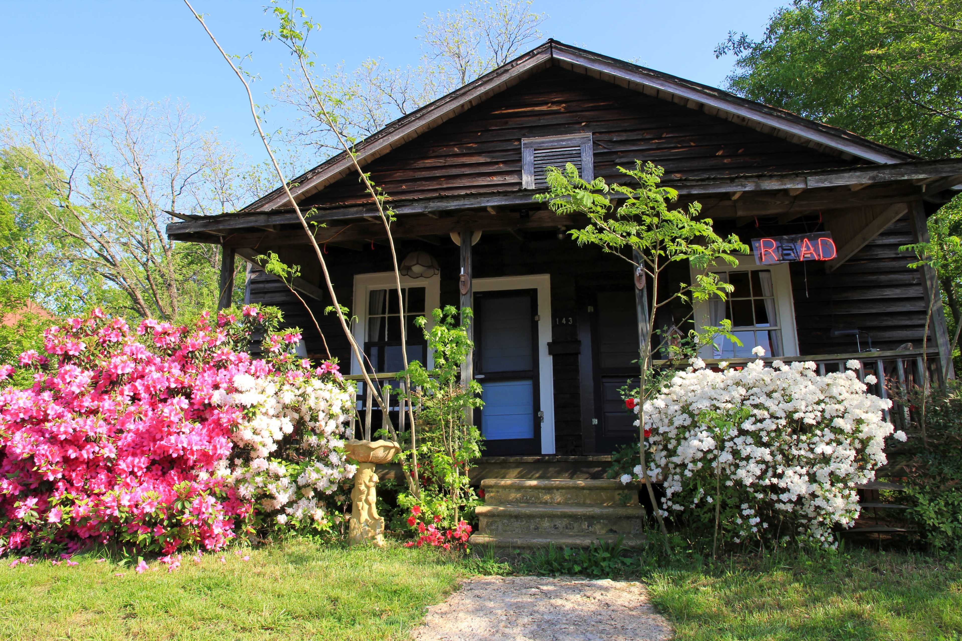 A rustic wooden house with a porch is surrounded by blooming azalea flowers in pink and white.