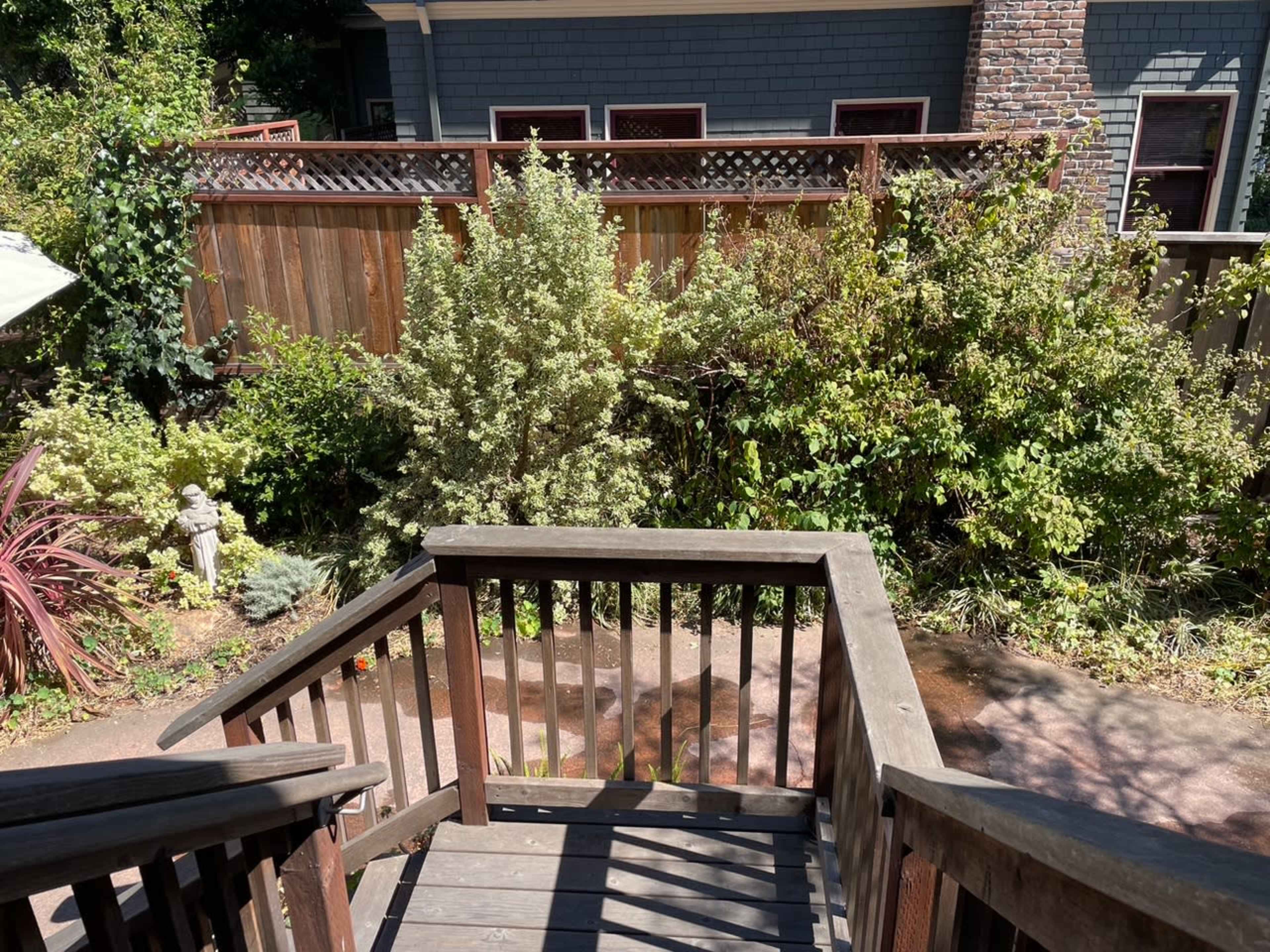 Sunny Courtyard Garden Space Image in Alameda, Alameda, CA
