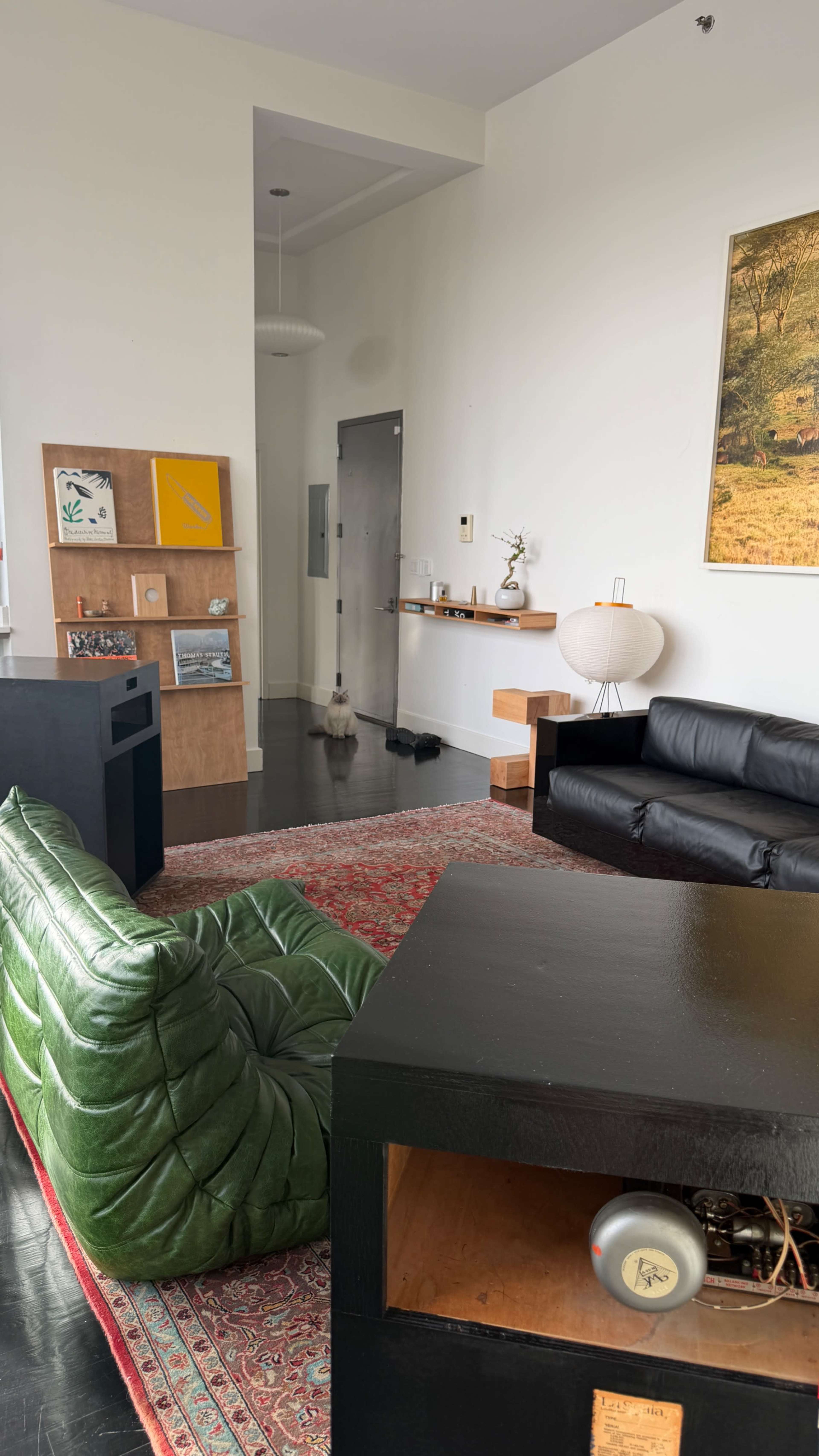 The image shows a modern living room featuring a green leather sofa, a black coffee table, a black leather couch, and various decorative elements on the walls and shelves.