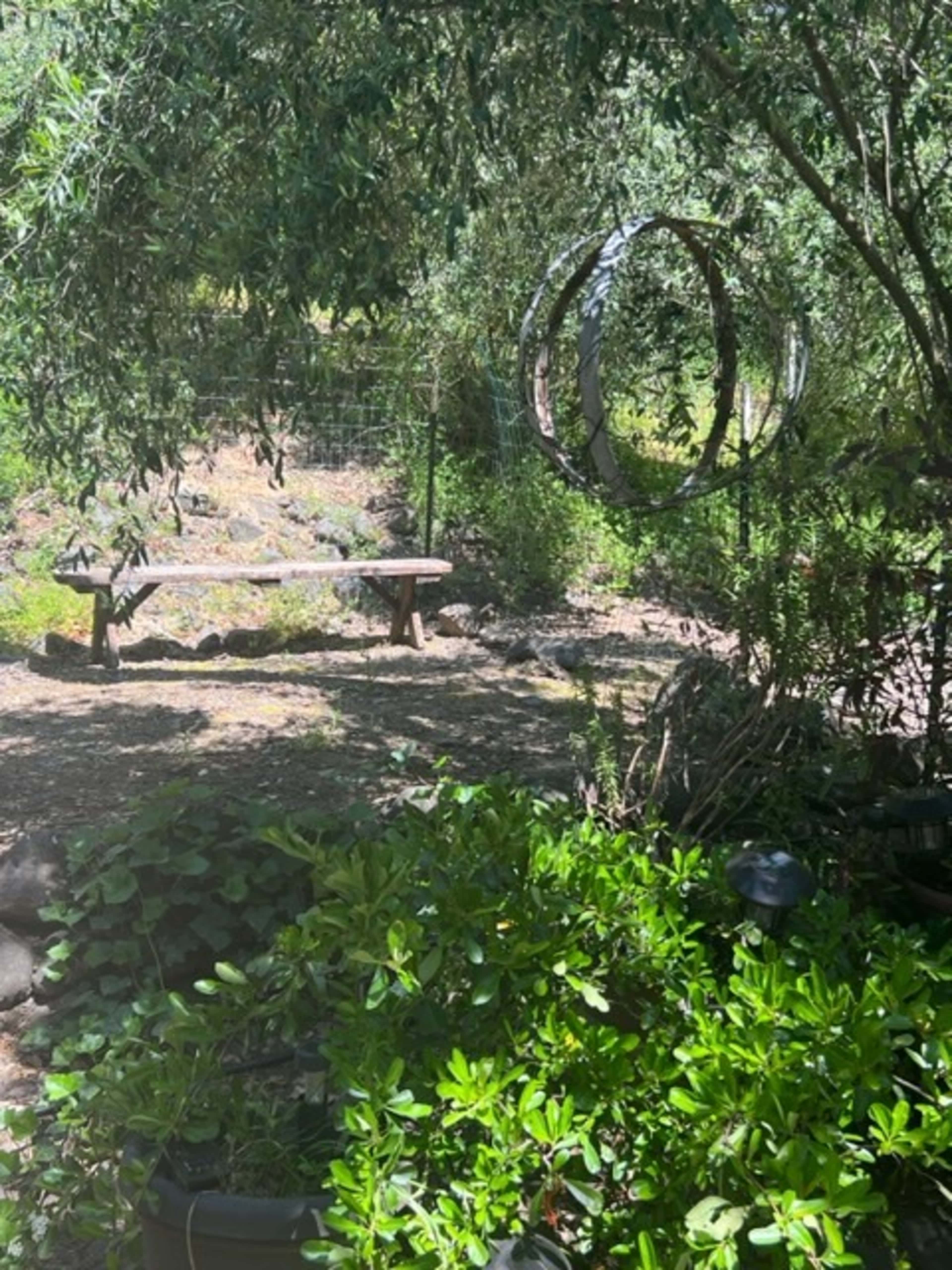 A wooded garden area with a wooden bench and circular sculptures suspended from a tree.