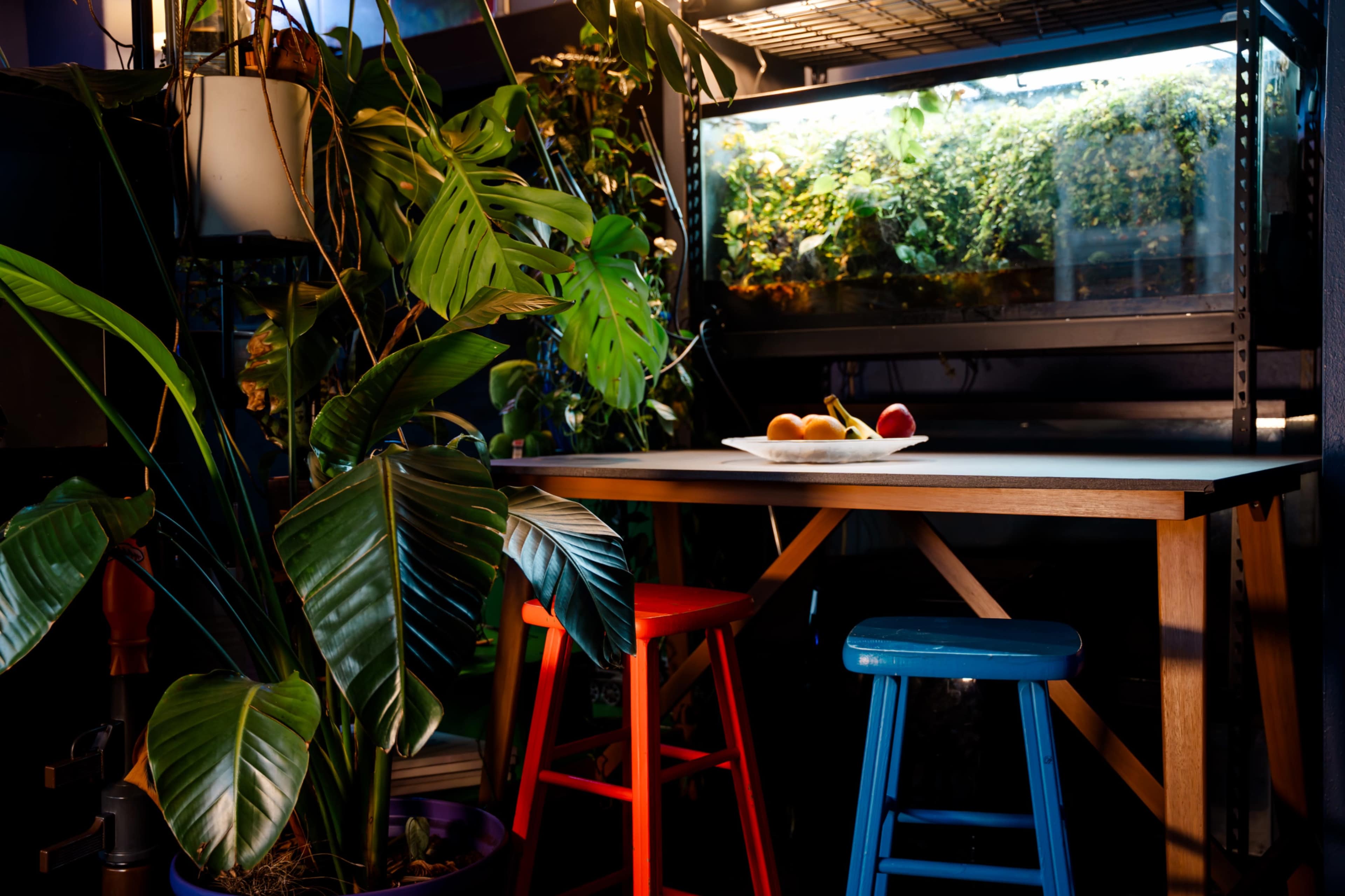 GreenThumb studios Image in Downtown Atlanta, Atlanta, GA
