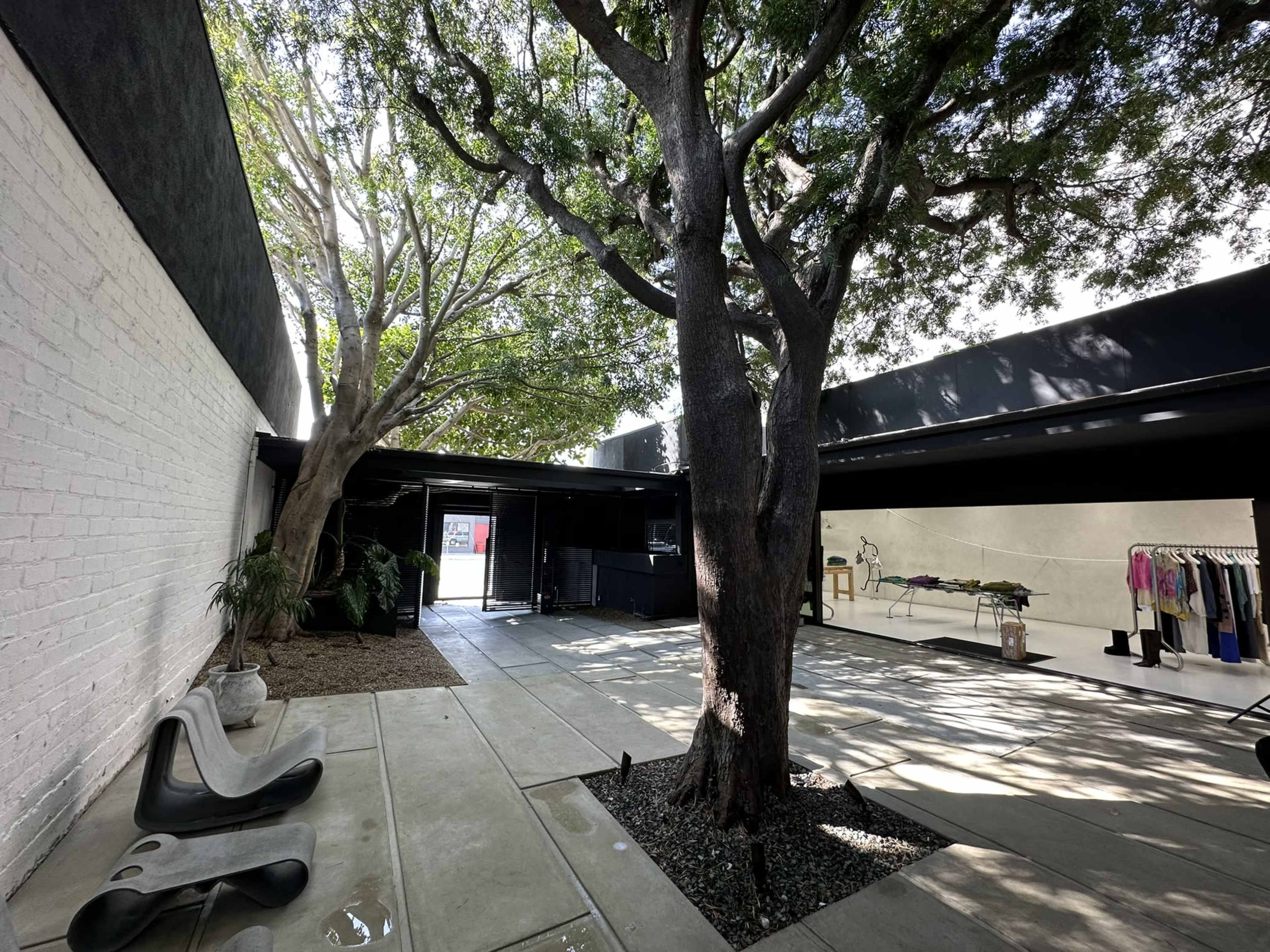 The image shows an outdoor space with two trees, modern concrete pathways, and a clothing display on the right side.