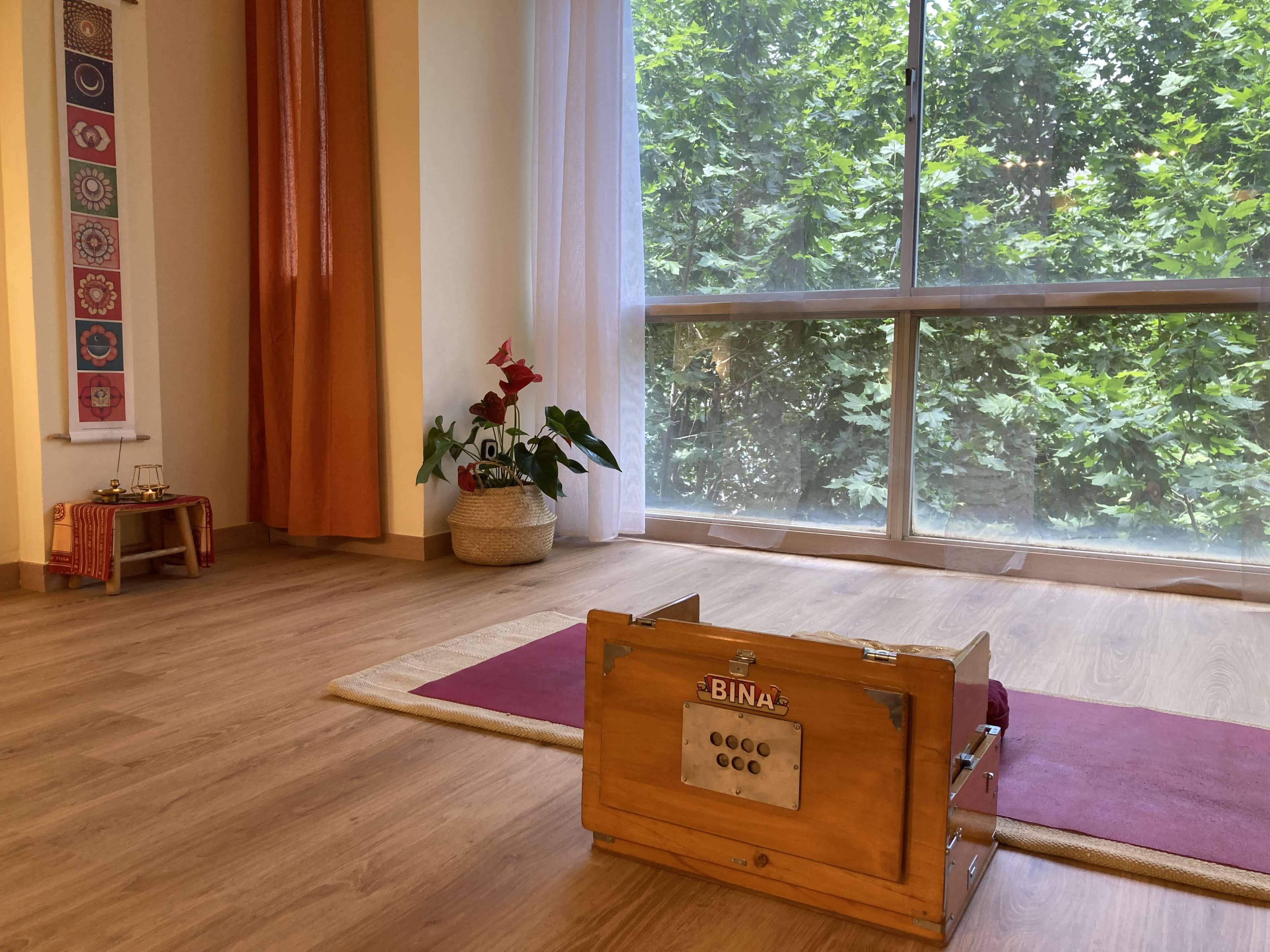 A wooden box labeled "BINA" sits on a red mat in a bright room with large windows that overlook green foliage.