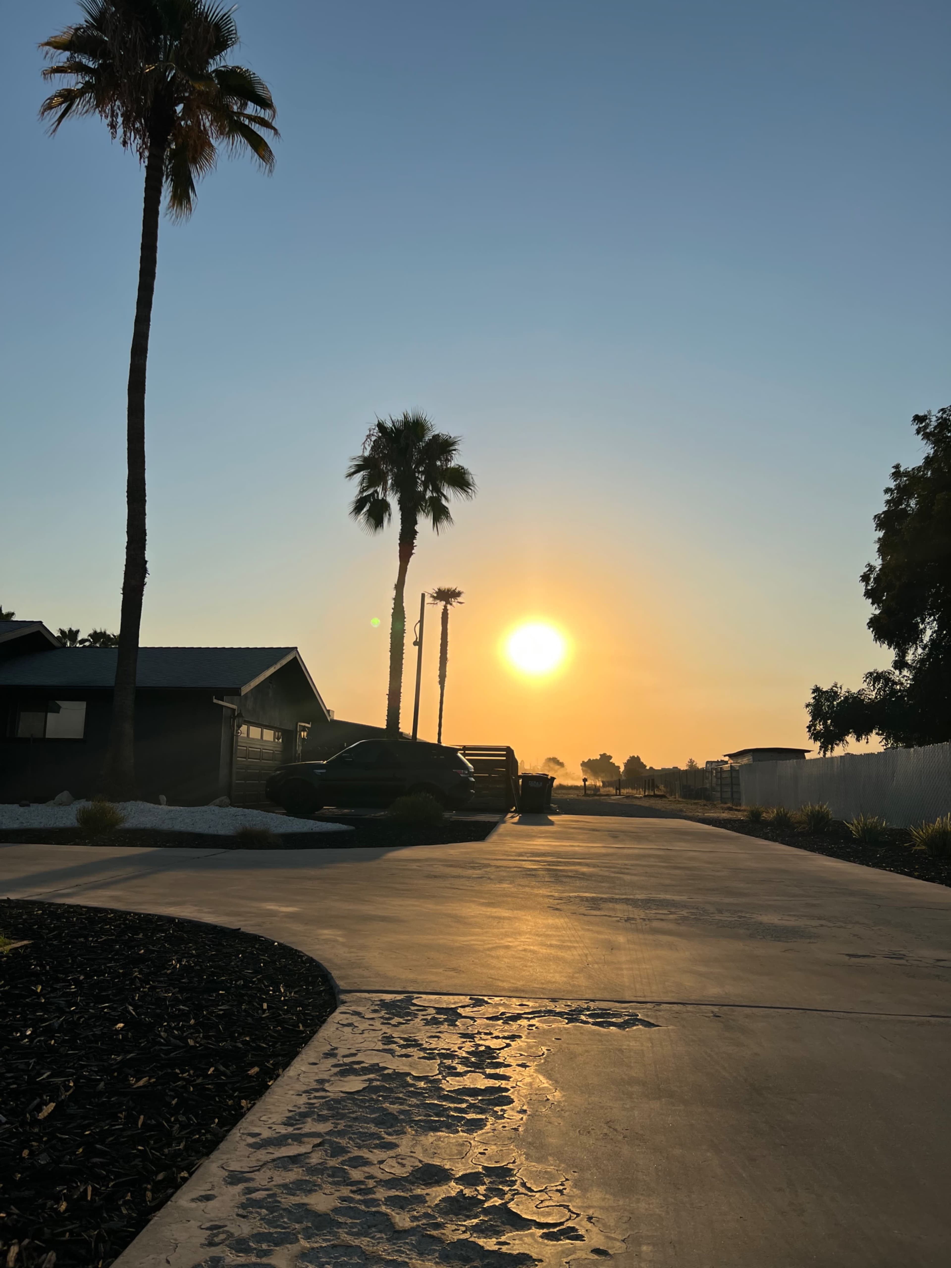 A sunset over a suburban street lined with palm trees and houses, with a smooth driveway in the foreground.
