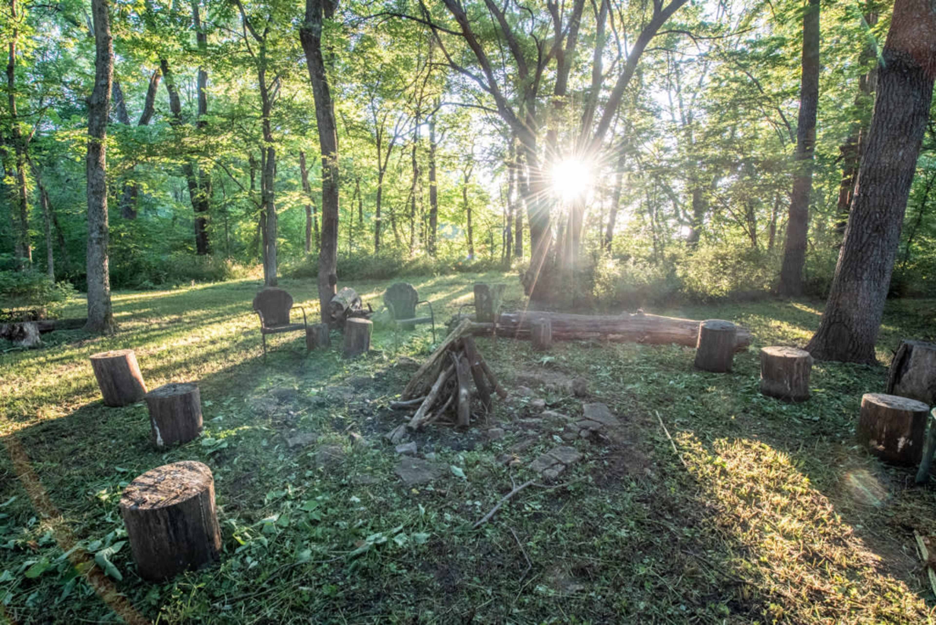 A fire pit surrounded by log seats is illuminated by sunlight filtering through the trees in a forest clearing.