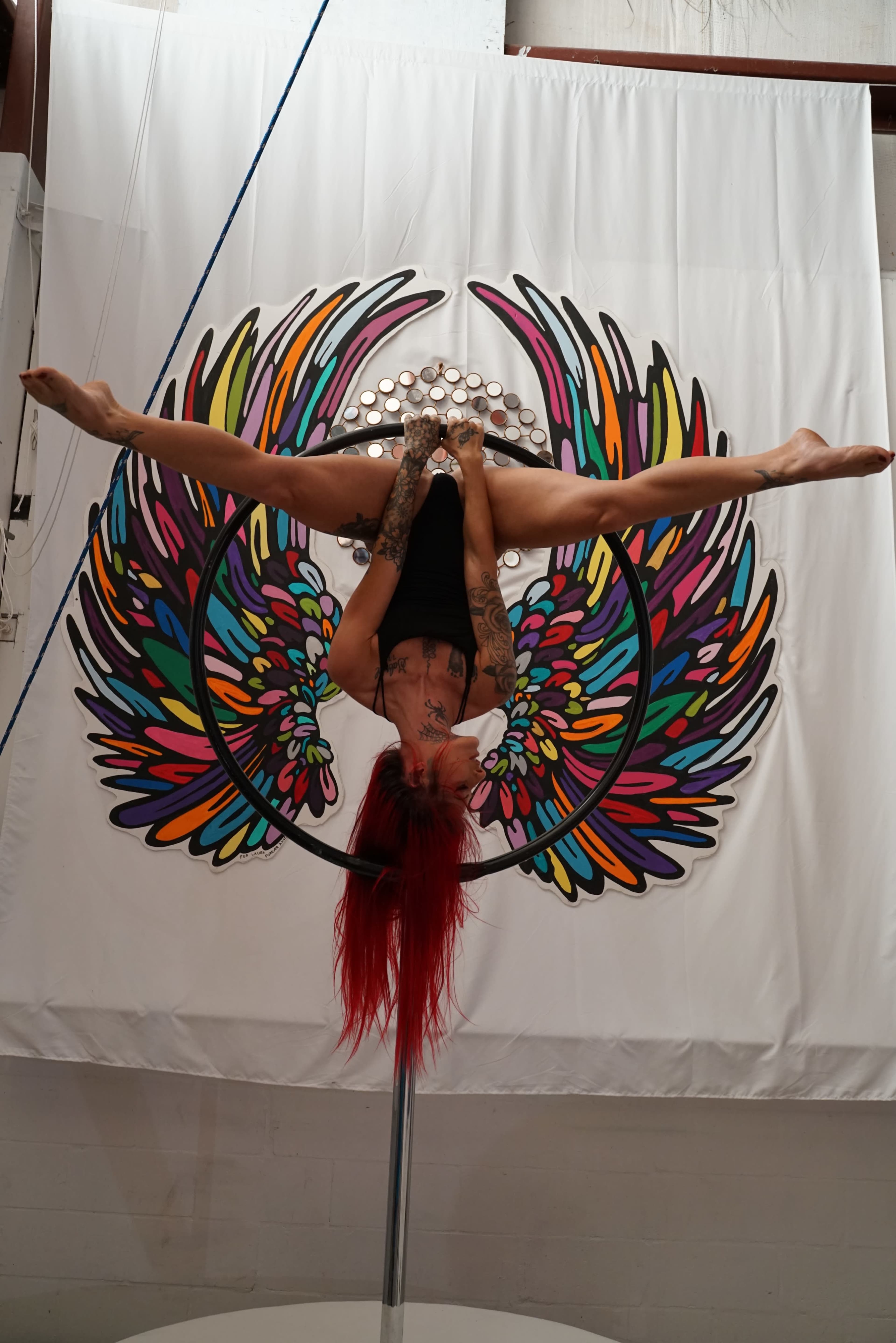 Custom Hand painted Wings with rigging point and aerial props Image in , St. Augustine, FL