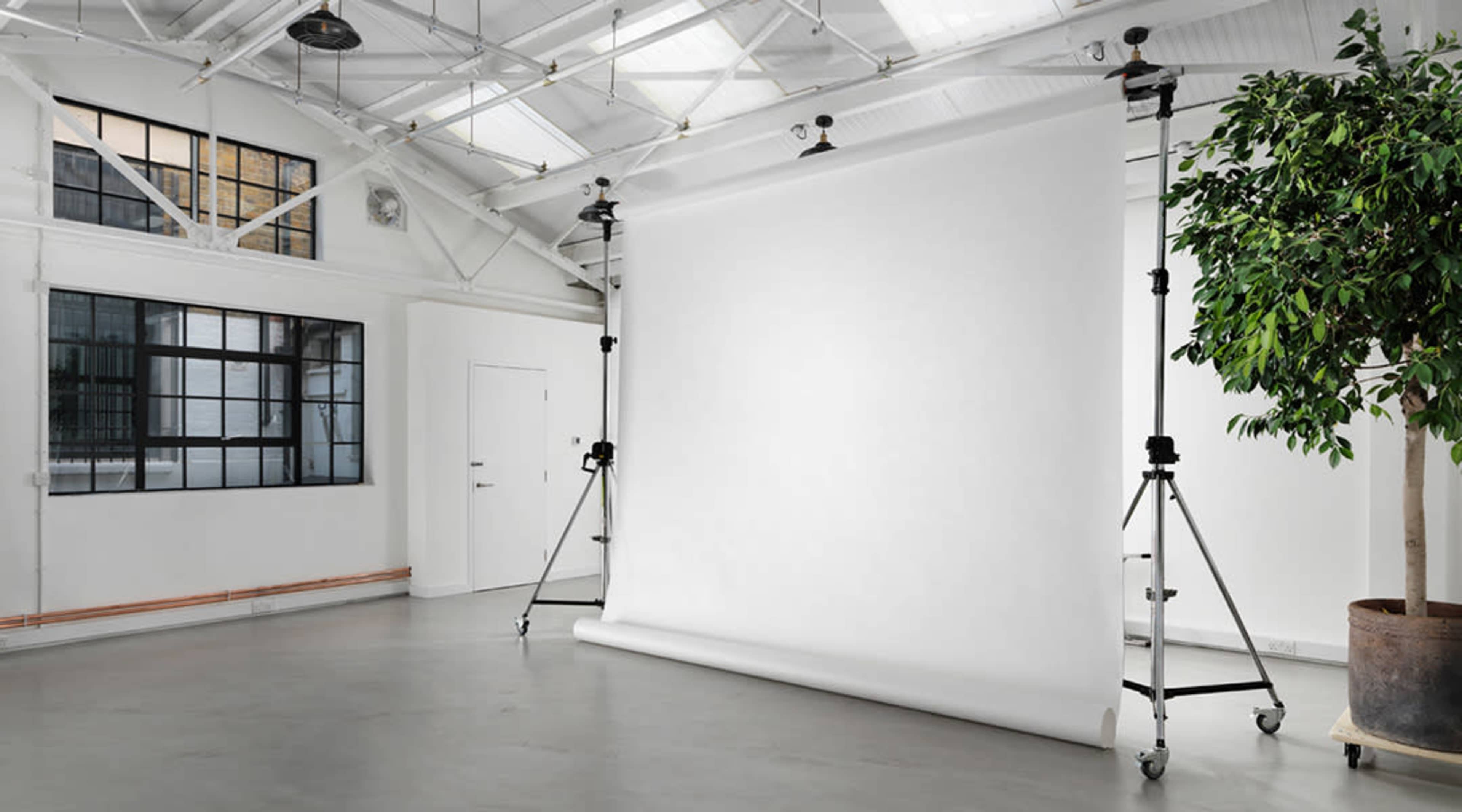 A spacious interior with a white backdrop set up on stands, surrounded by large windows and a potted plant.
