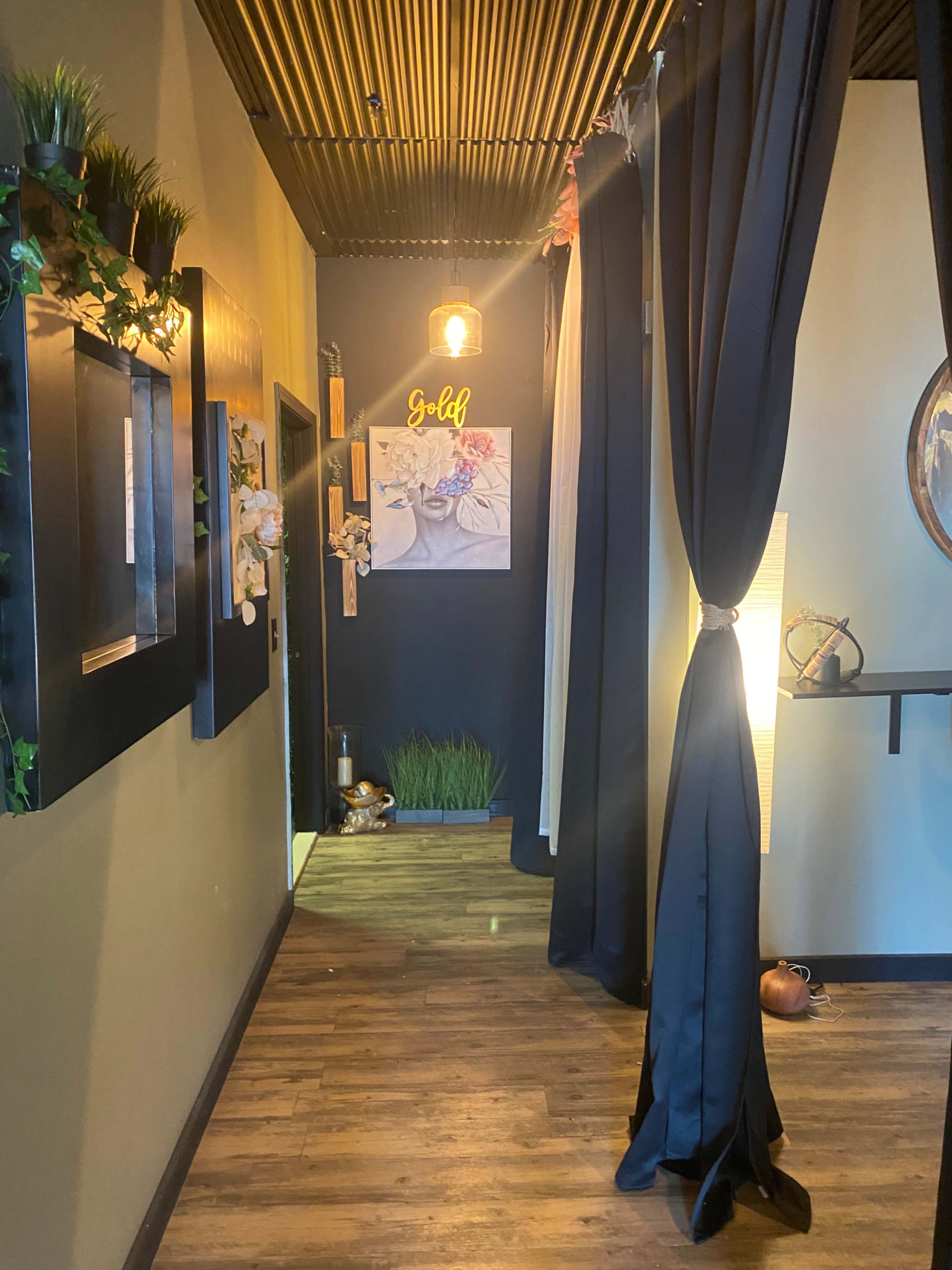 The image shows a dimly lit hallway with black curtains, framed artwork on the walls, and decorative plants.