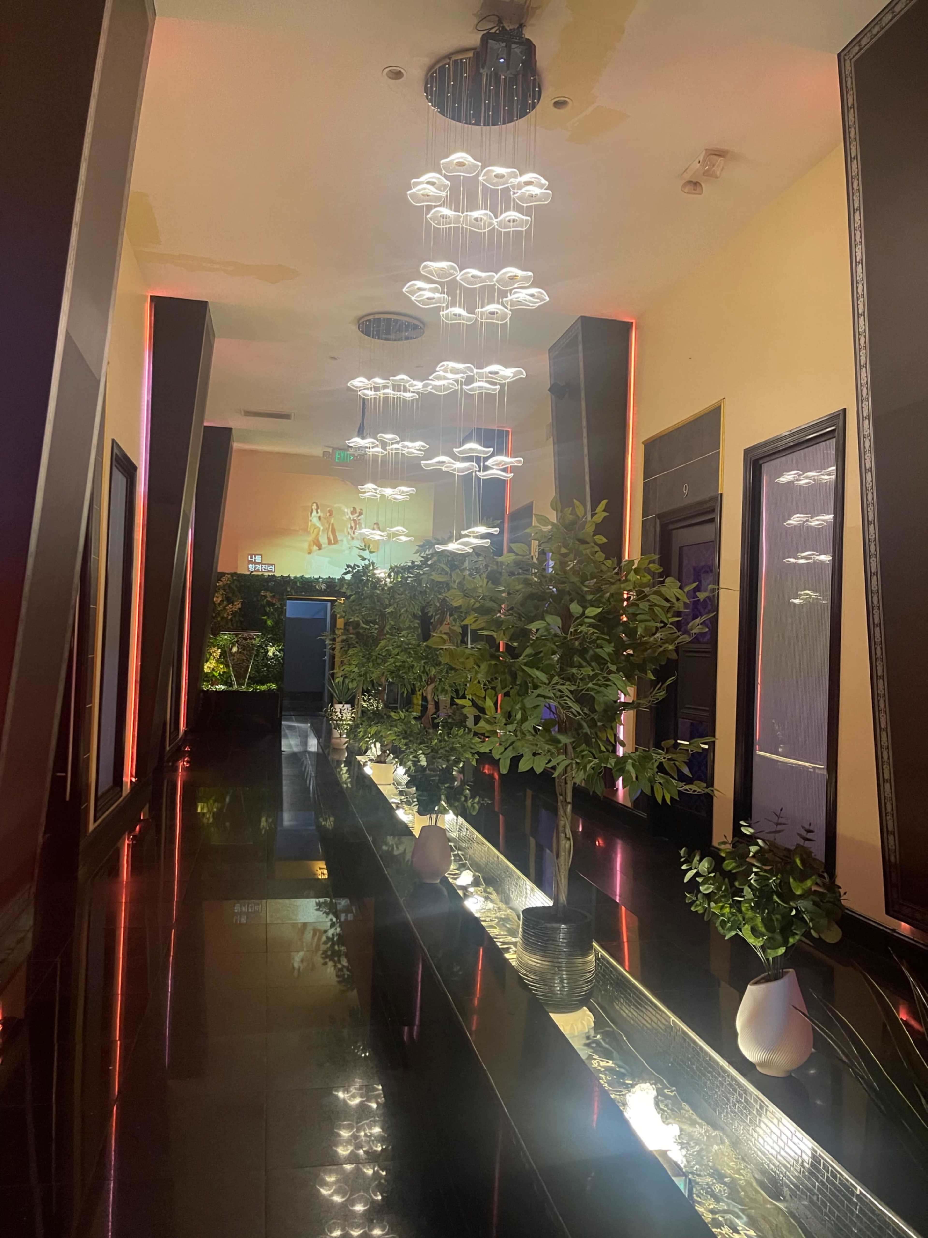 The image shows a modern hallway with dark flooring, decorative plants lining the sides, and a series of suspended light fixtures overhead.