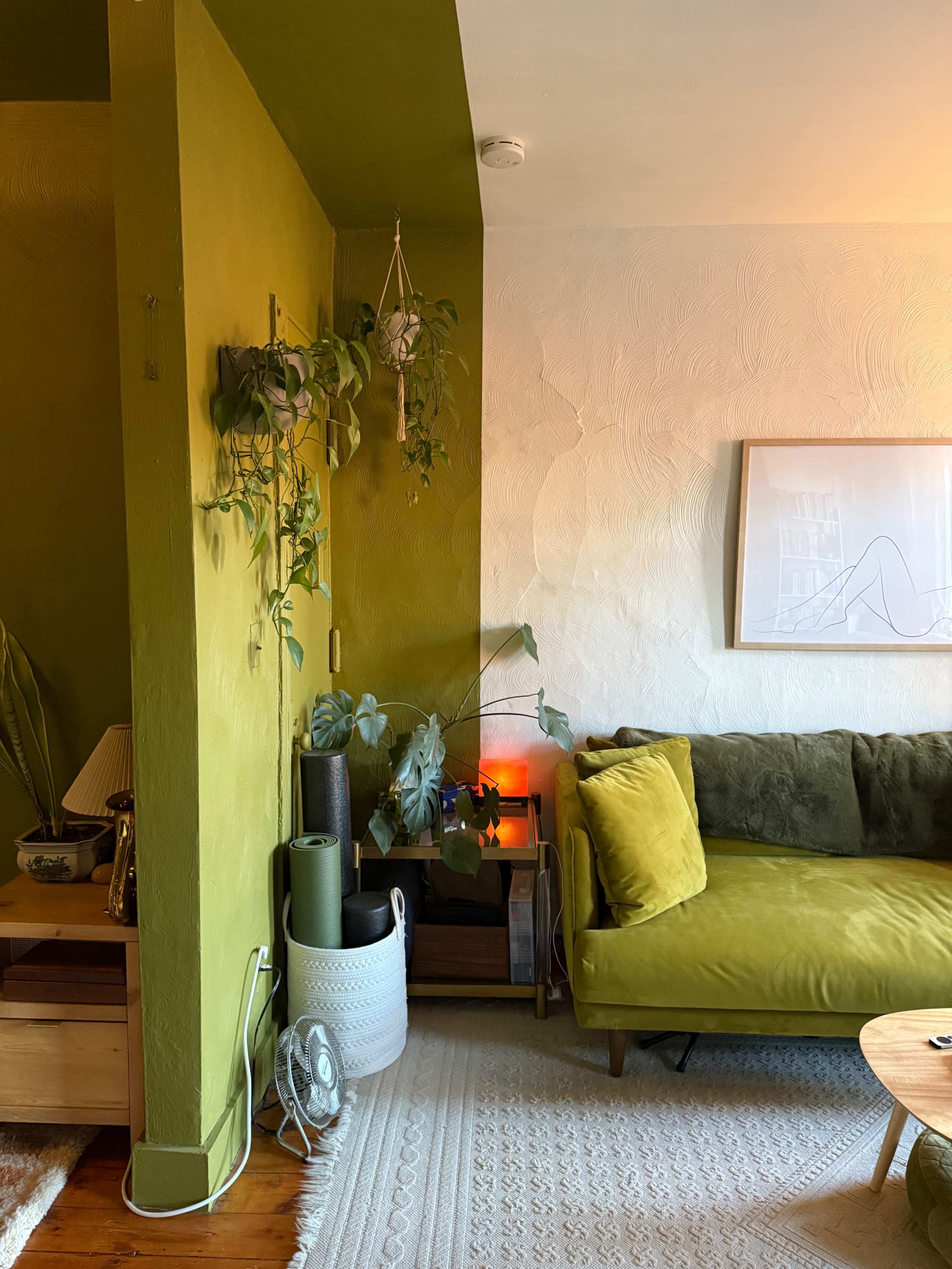 The image shows a living room corner featuring a green wall, a green sofa, potted plants, and a small wooden table with decorative items.
