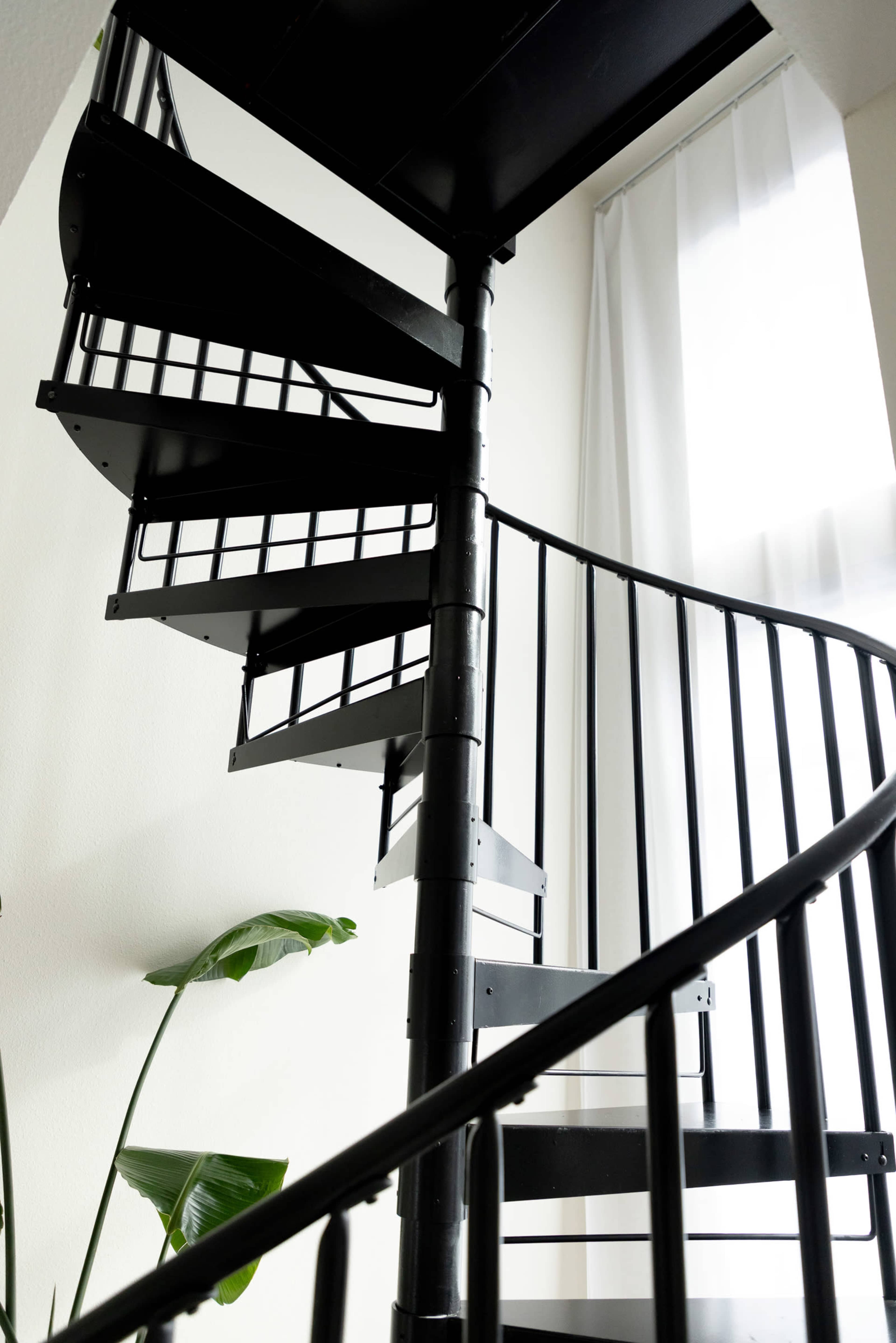 A black spiral staircase ascends beside a large window and a green plant.