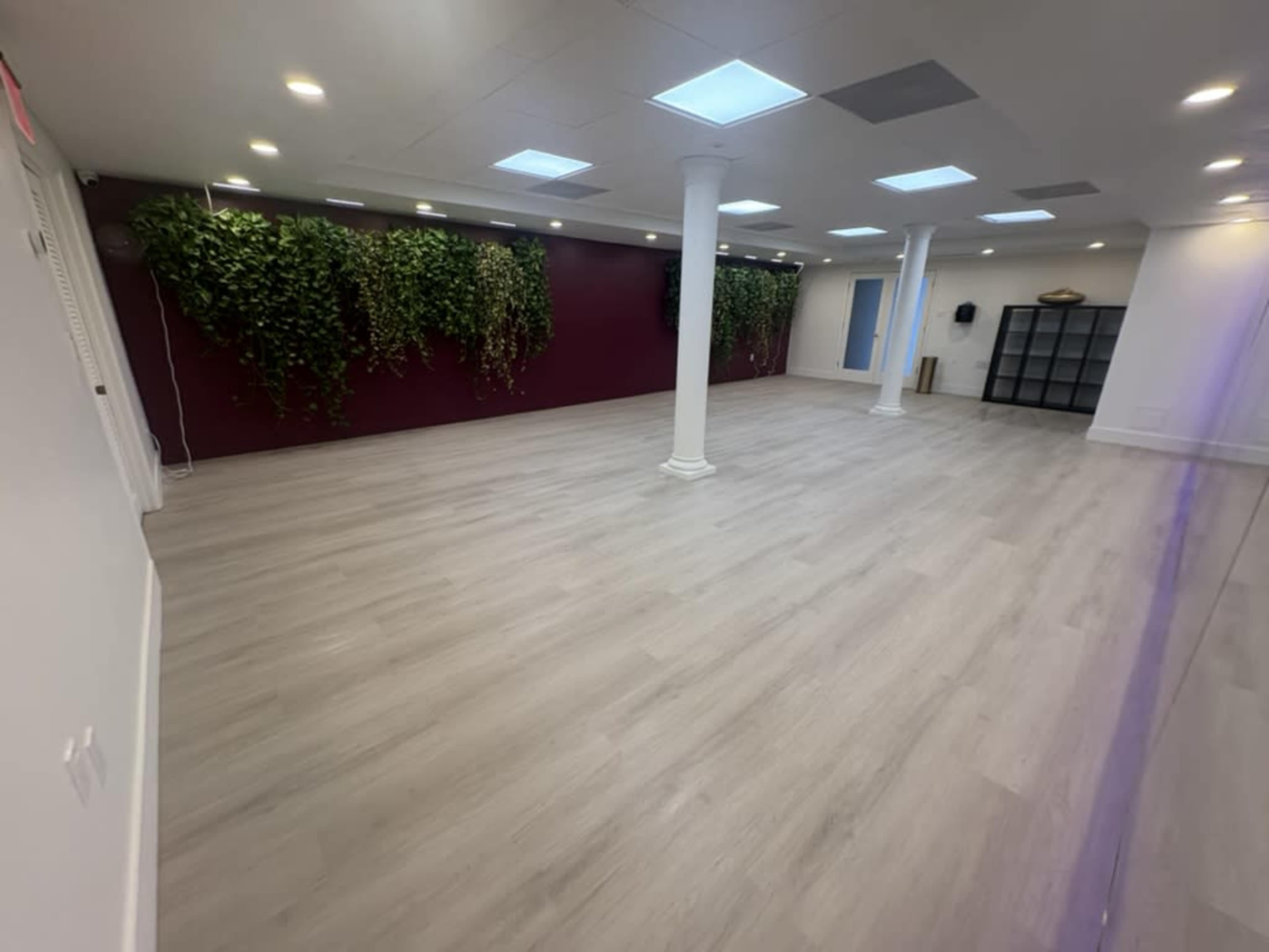 The image shows a spacious, empty room with light wood flooring, white pillars, and a red accent wall adorned with green plants.