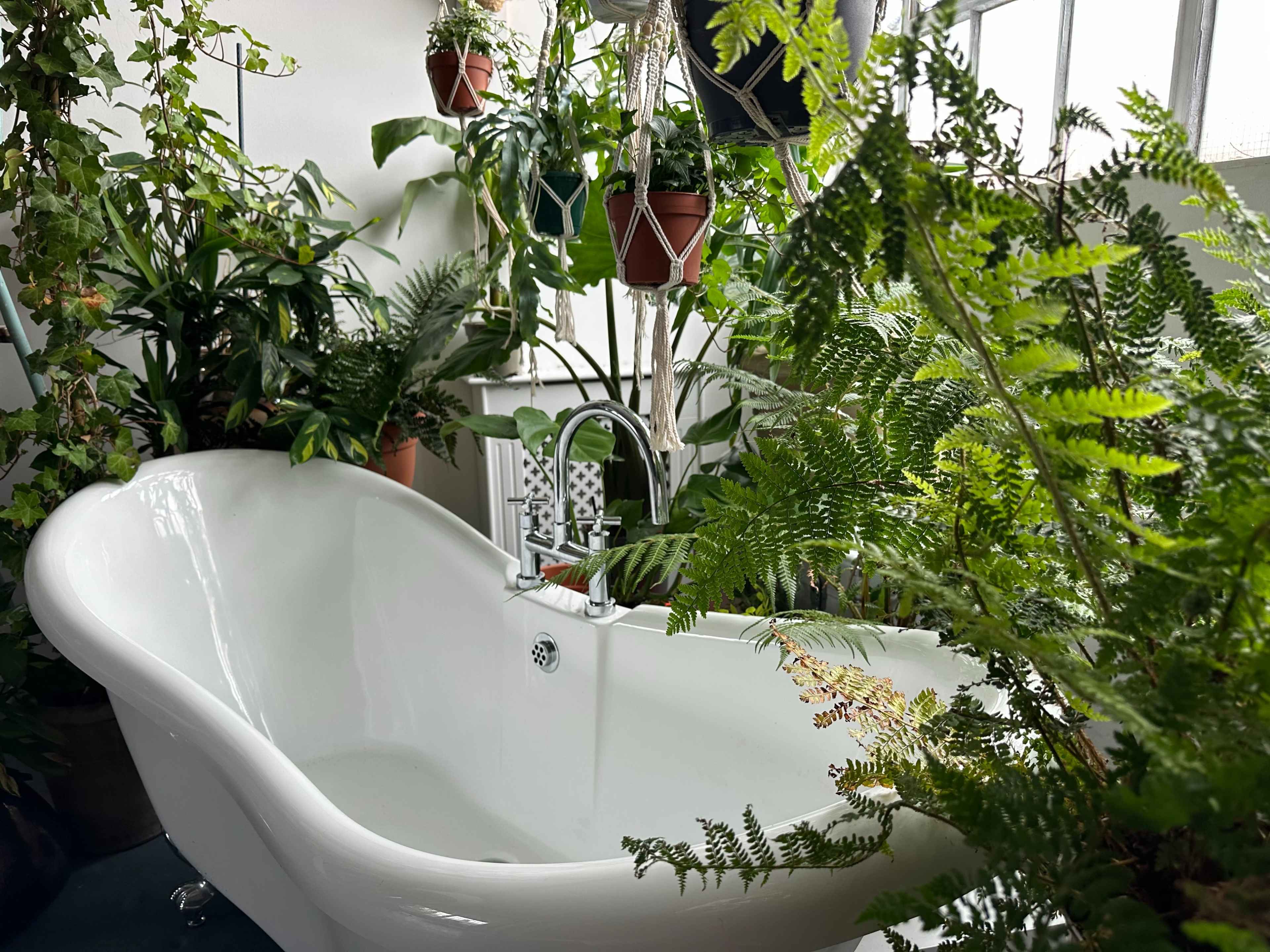 A white freestanding bathtub is surrounded by various potted plants and ferns in a bright, indoor space.