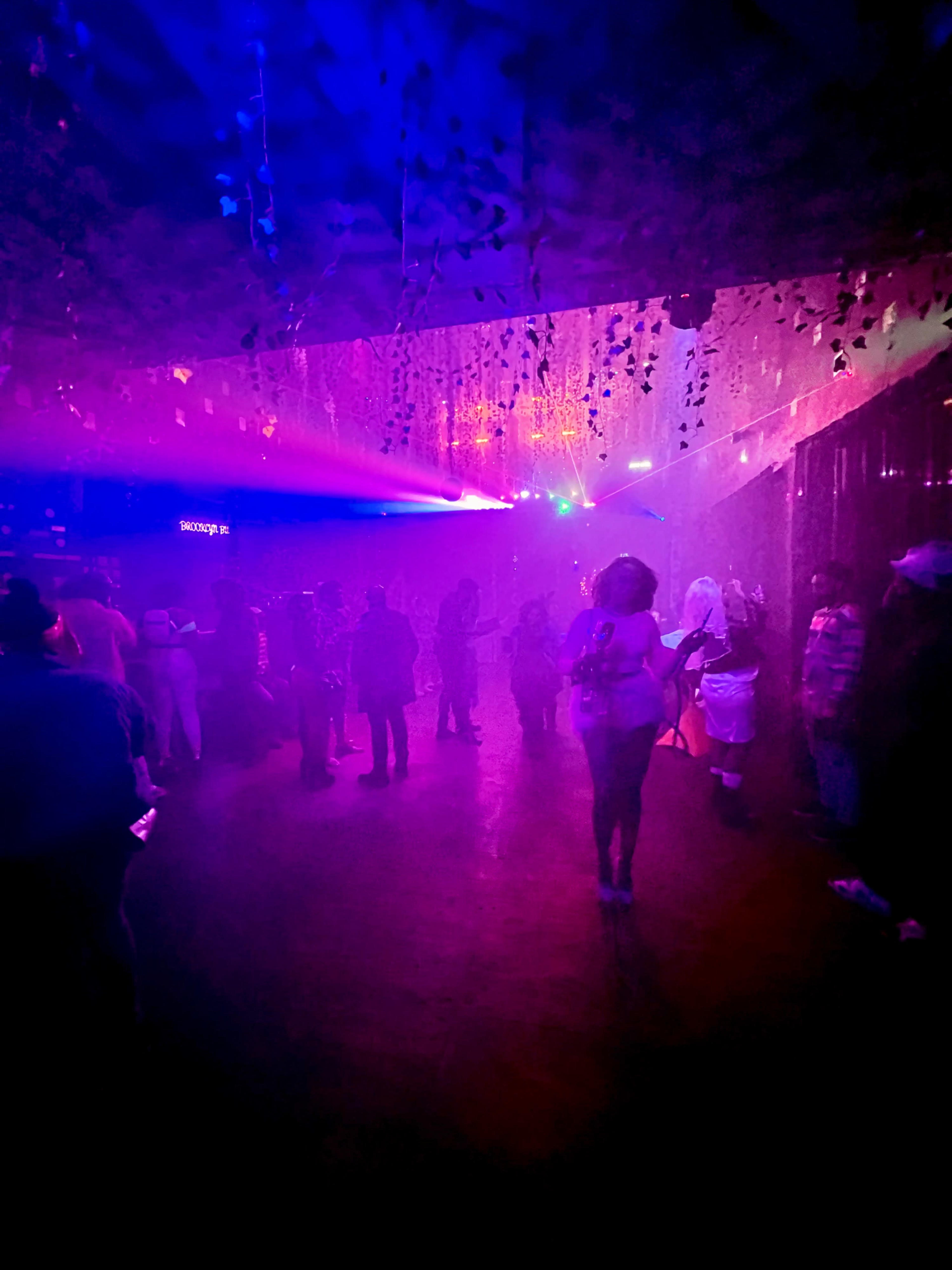 BROOKLYN BURJ -  JUNGLE THEME ,DREAMY EVENT AND PERFORMANCE VENUE Image in Crown Heights, Brooklyn, NY
