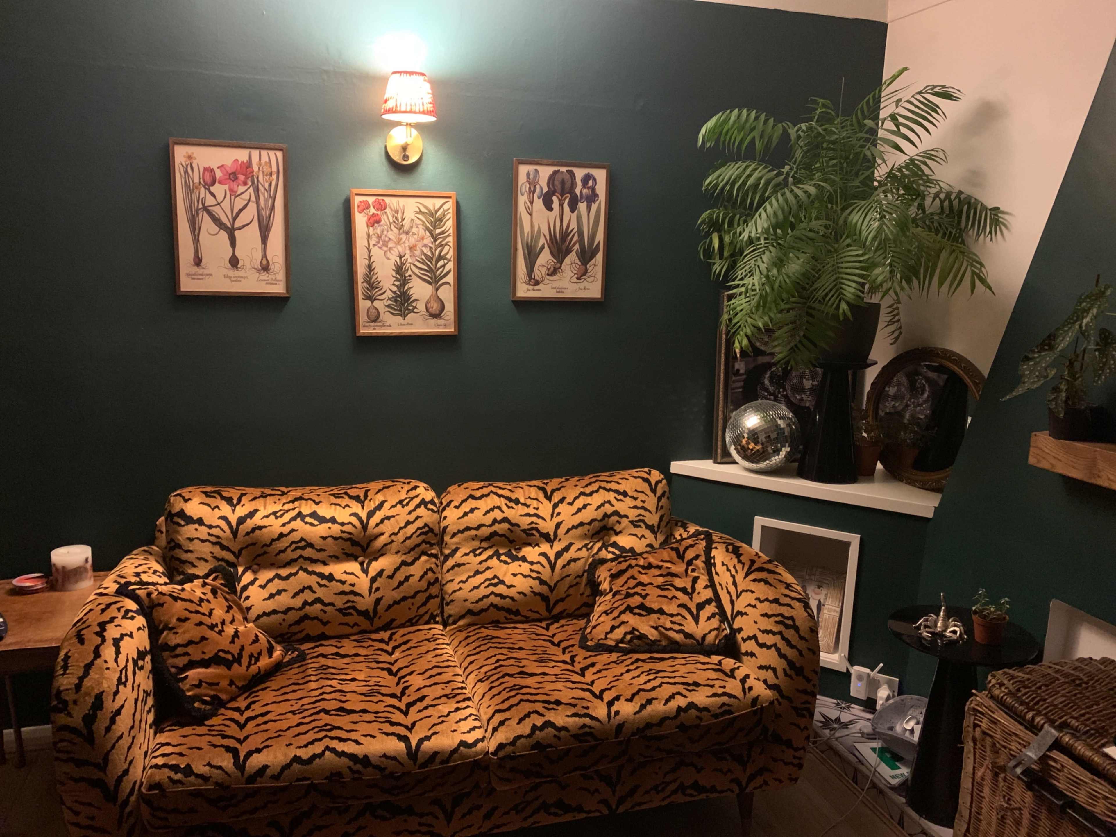 The image features a room with a green wall, a tiger-striped couch, and botanical prints framed on the wall above.