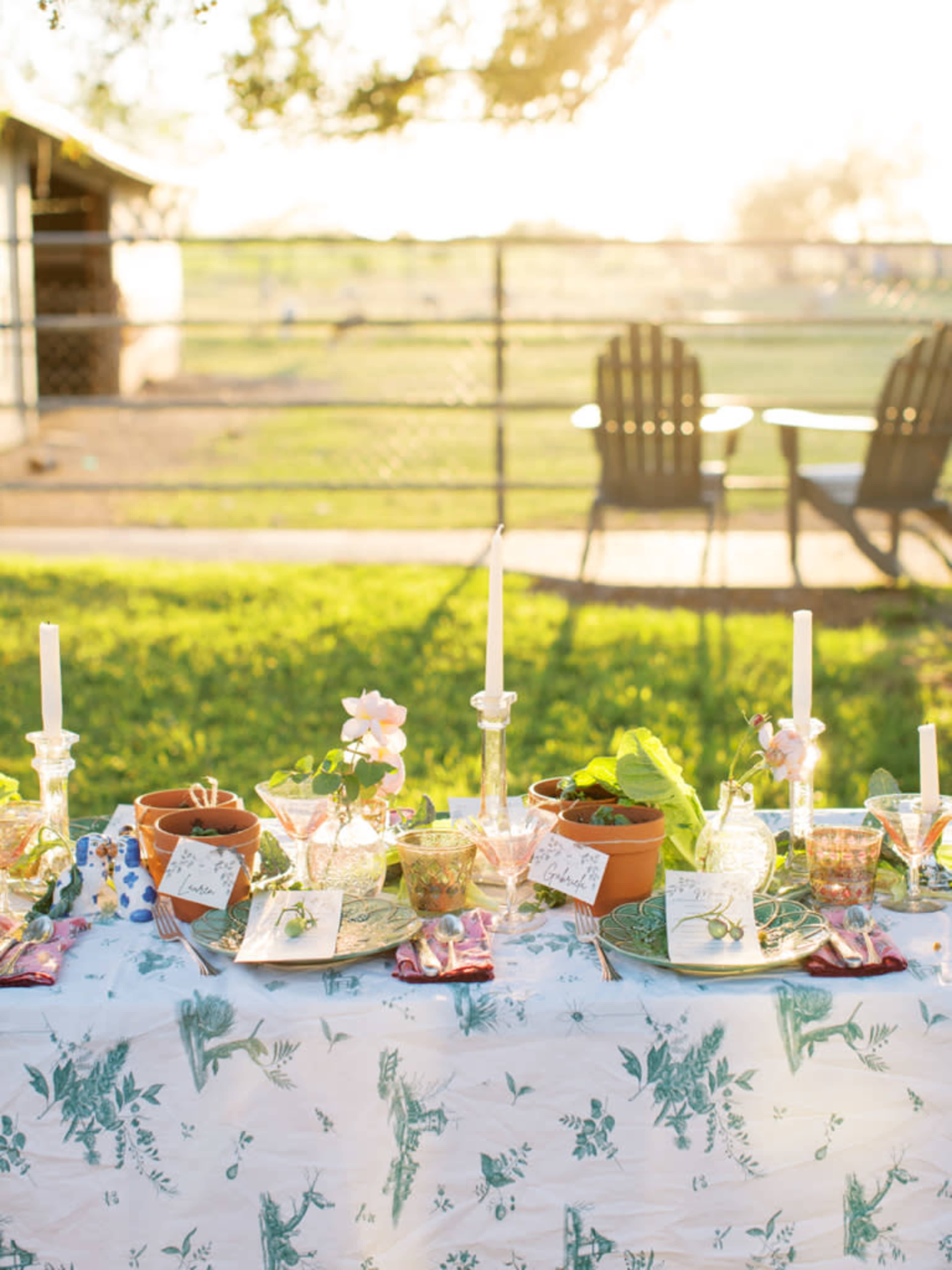 Farm flowers 