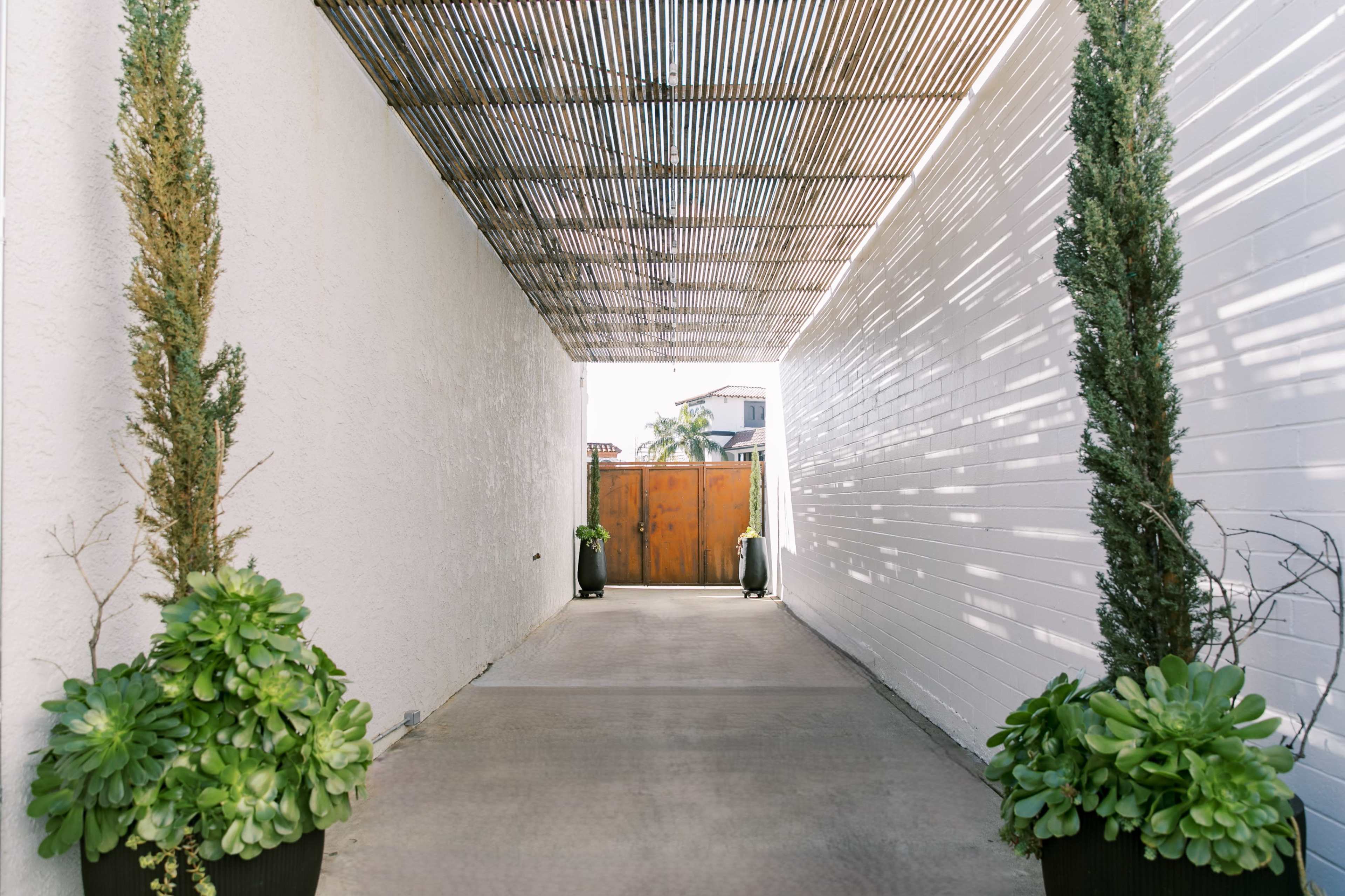A narrow walkway bordered by tall potted plants leads to a wooden gate at the far end.