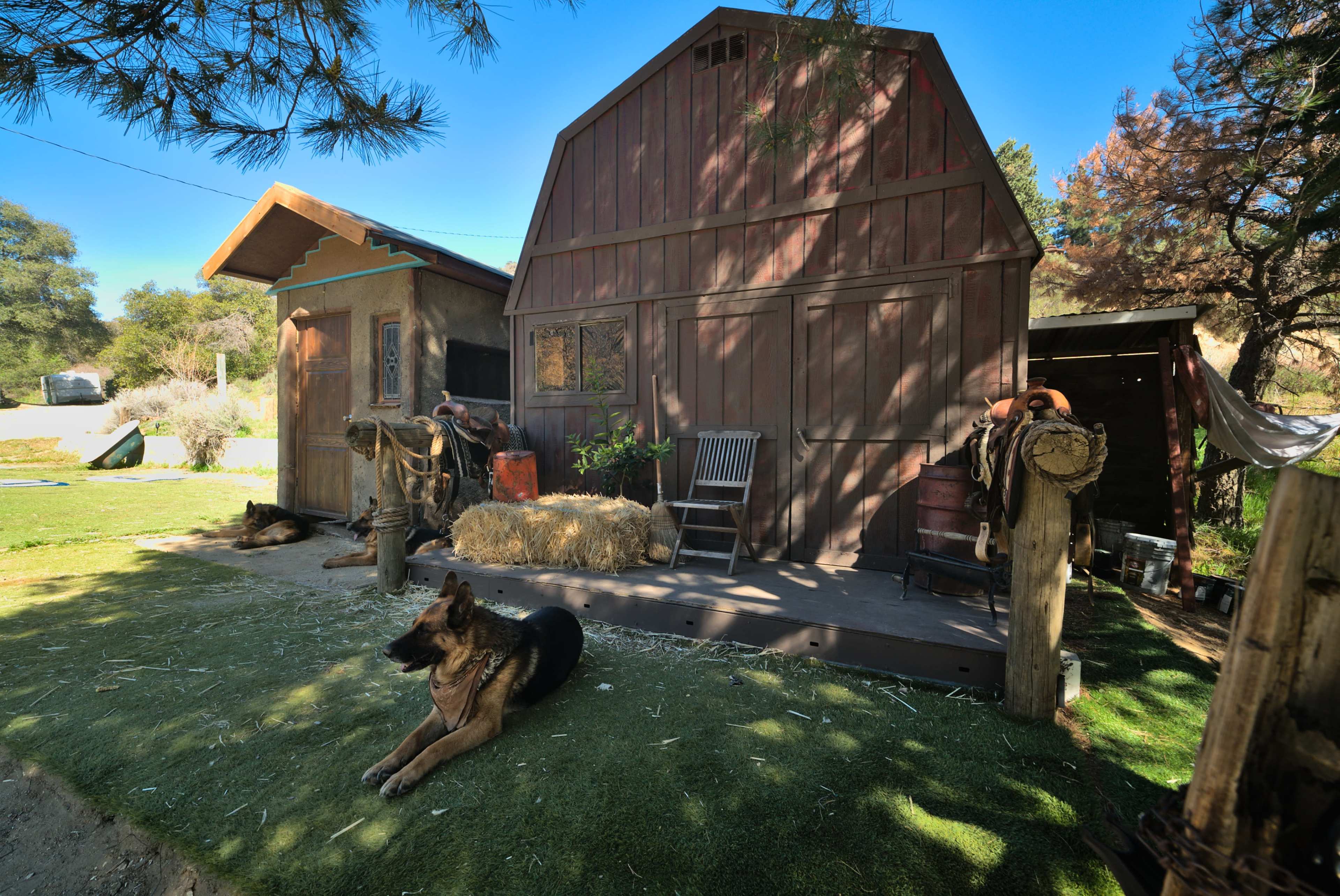 A wooden barn with a rustic aesthetic stands beside a grassy area, featuring a dog lying in front and hay bales nearby.