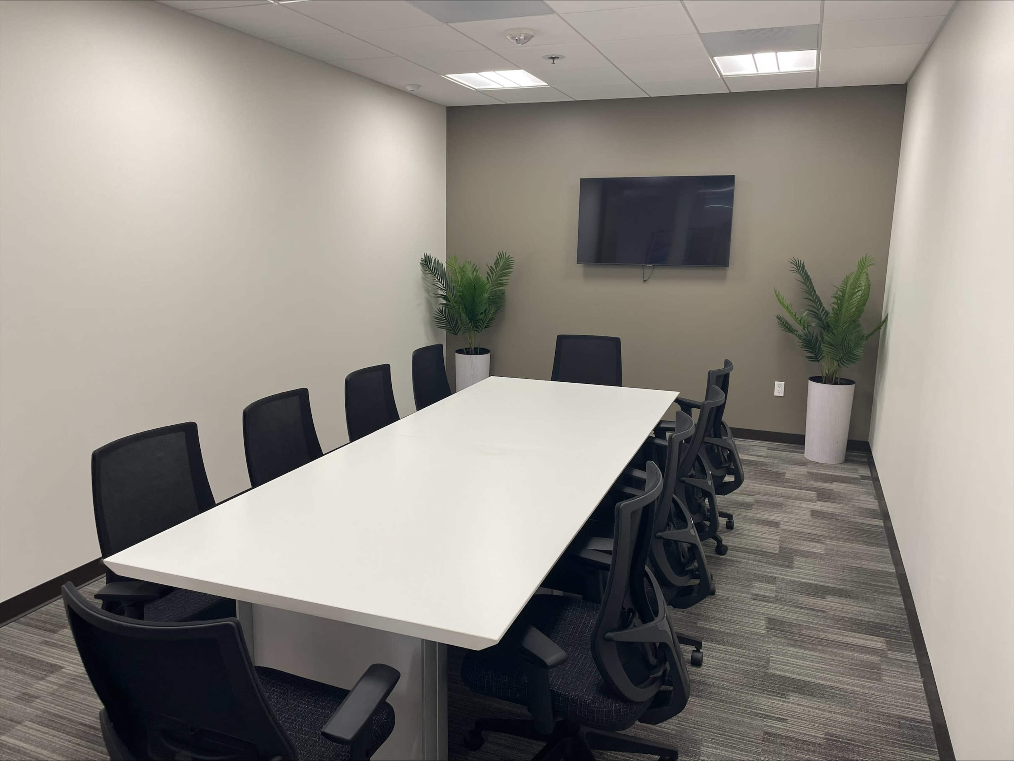 A conference room features a long white table surrounded by black chairs and a wall-mounted television, with potted plants in each corner.