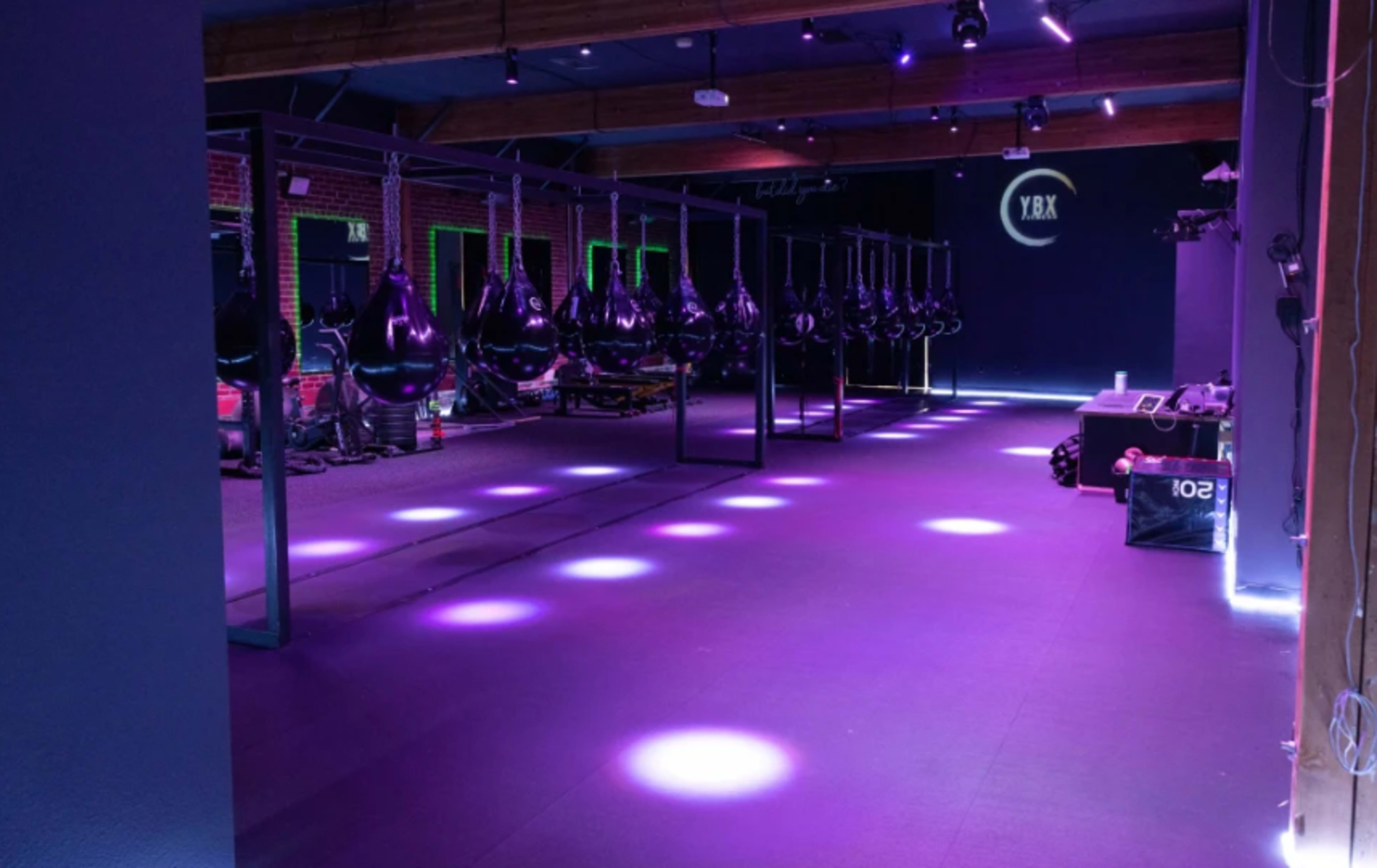 The image shows a boxing gym with hanging punching bags and purple lighting illuminating the space.