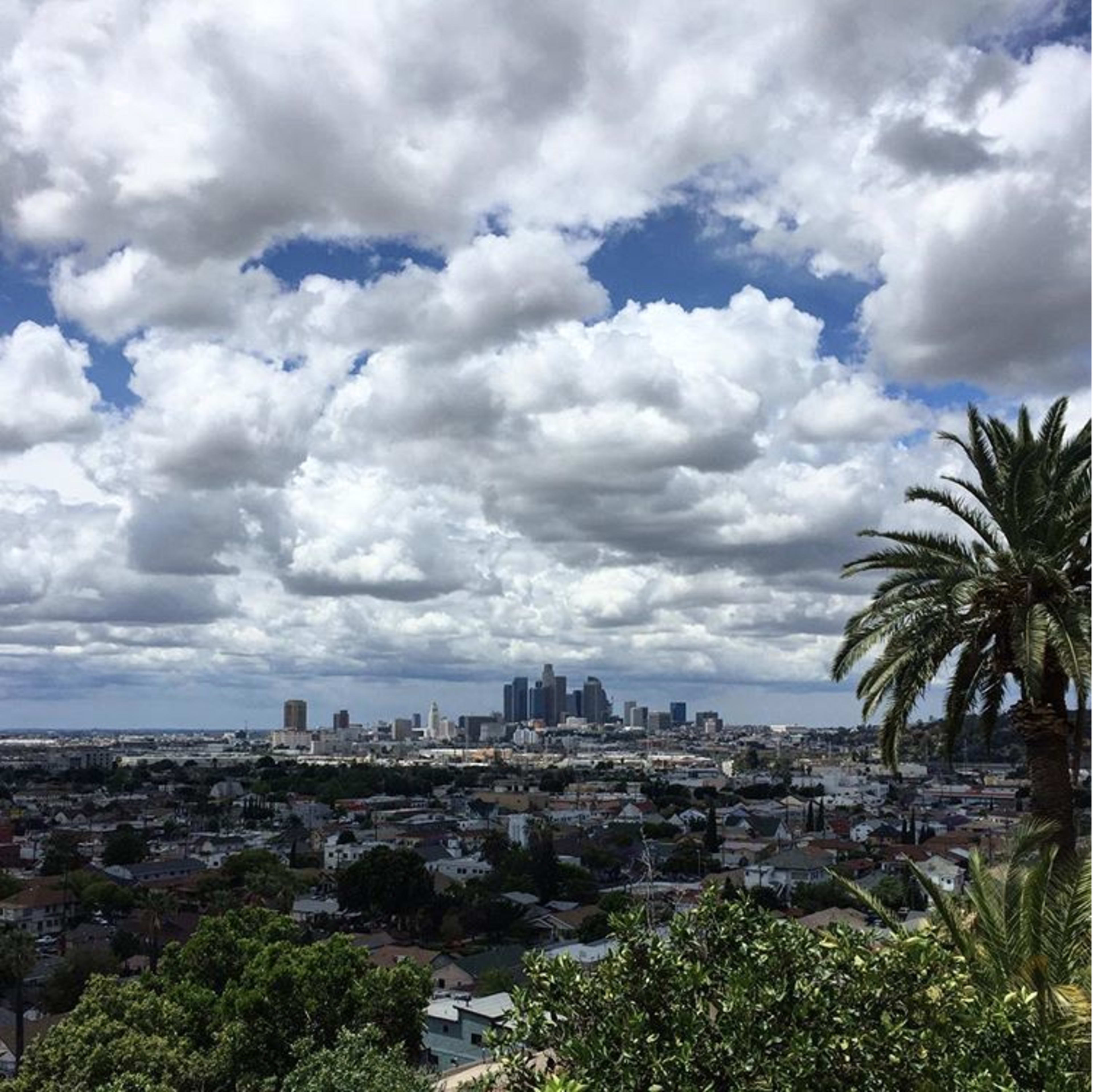 A panoramic view of the Los Angeles skyline framed by lush greenery and dramatic clouds.