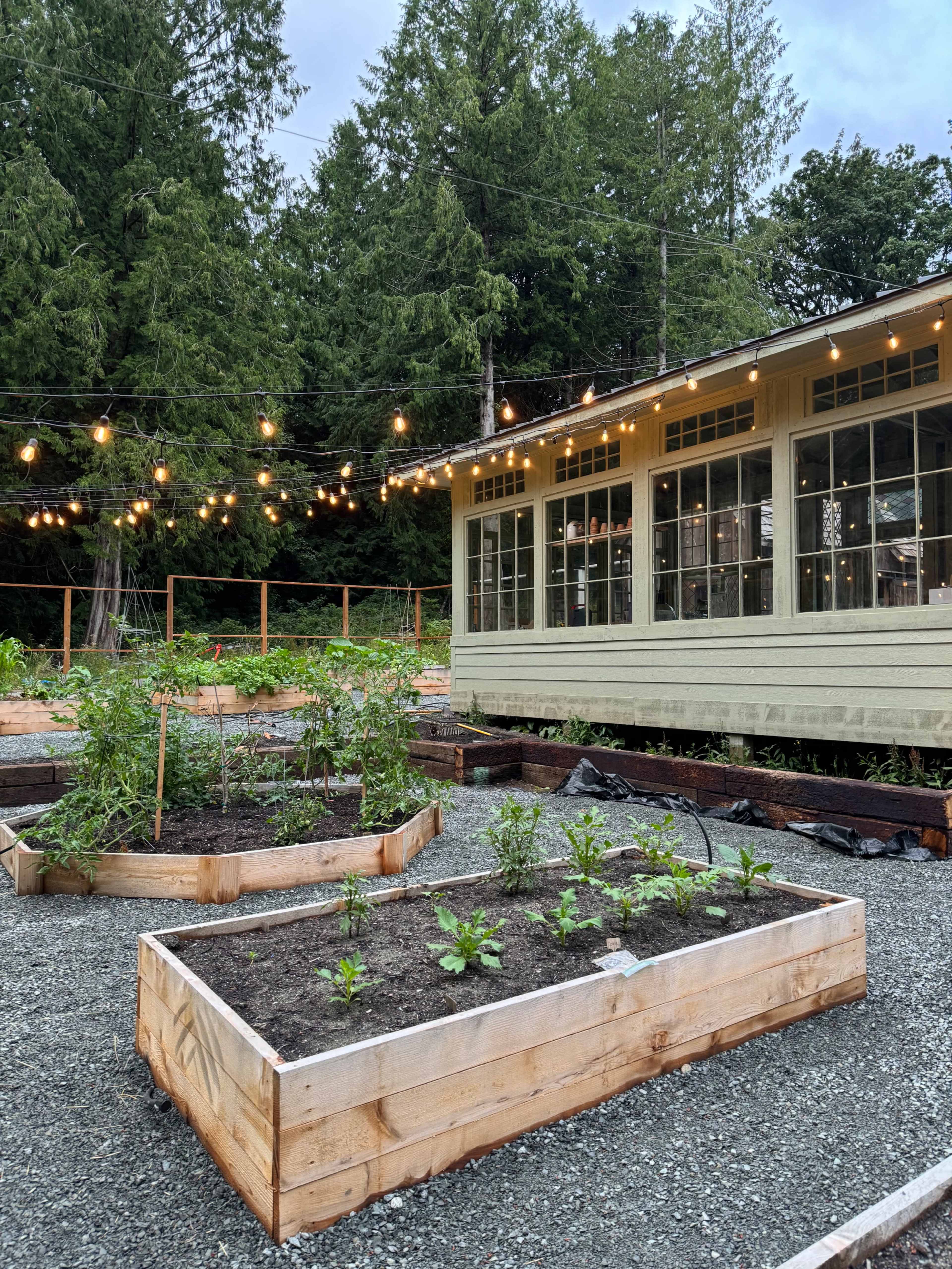 Charming Greenhouse with Garden Image in Kayak Point, Stanwood, WA