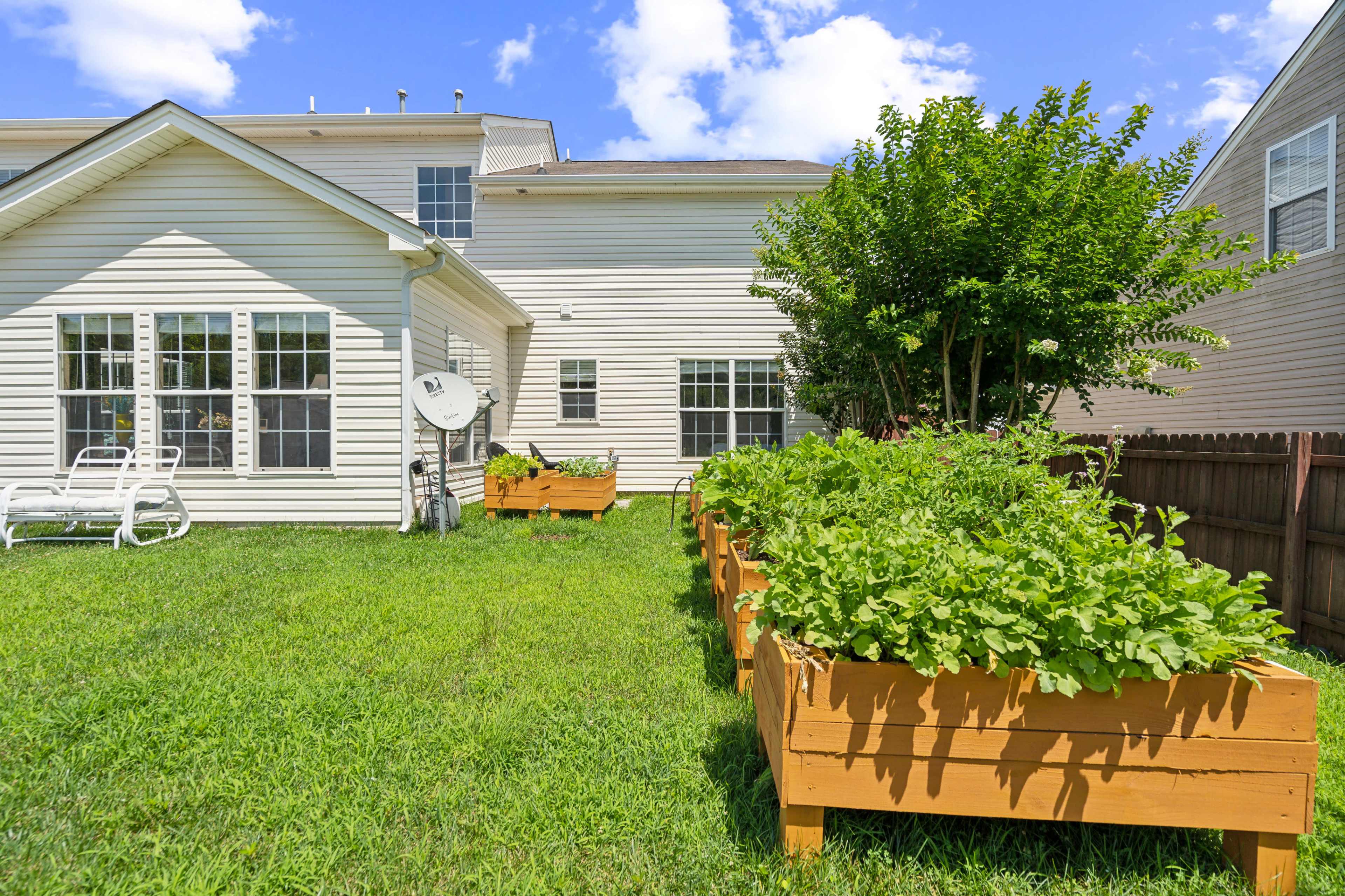 The image shows a backyard garden with wooden raised beds filled with plants, adjacent to a house with multiple windows.