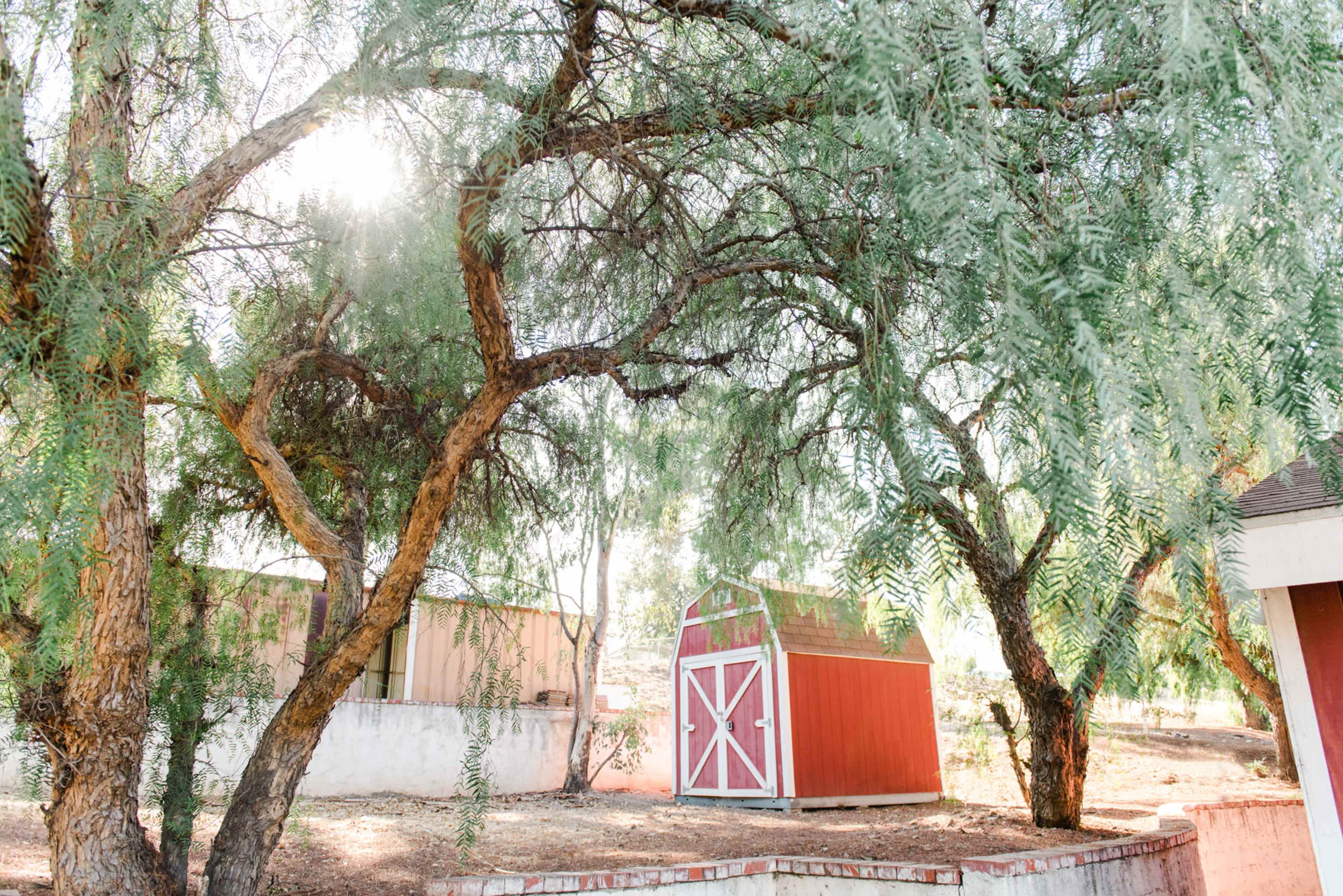 The image shows a red garden shed surrounded by large trees in a sunny outdoor setting.