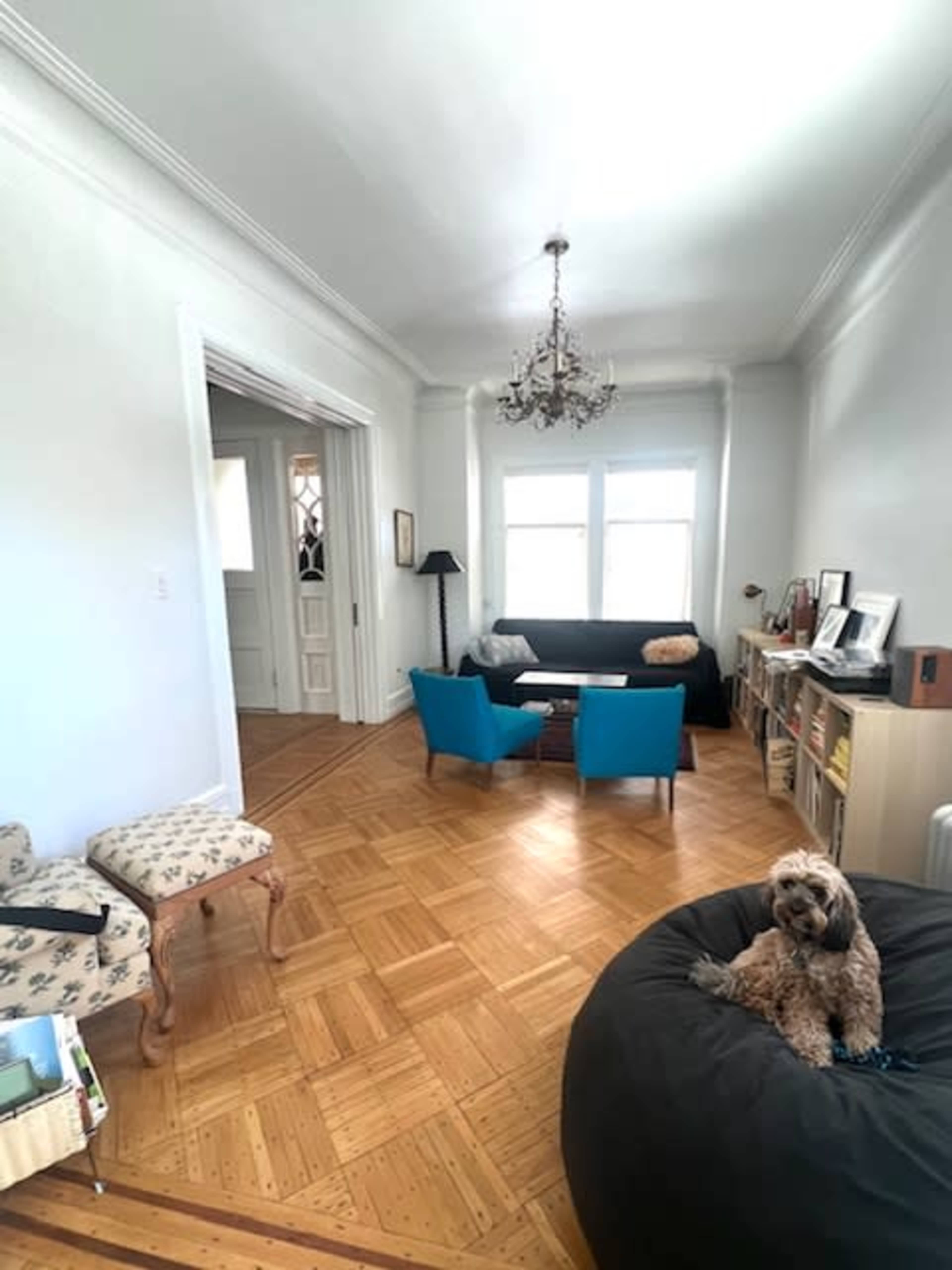 The image depicts a living room with hardwood flooring, featuring two teal chairs, a black sofa, a coffee table, and a dog sitting on a bean bag.
