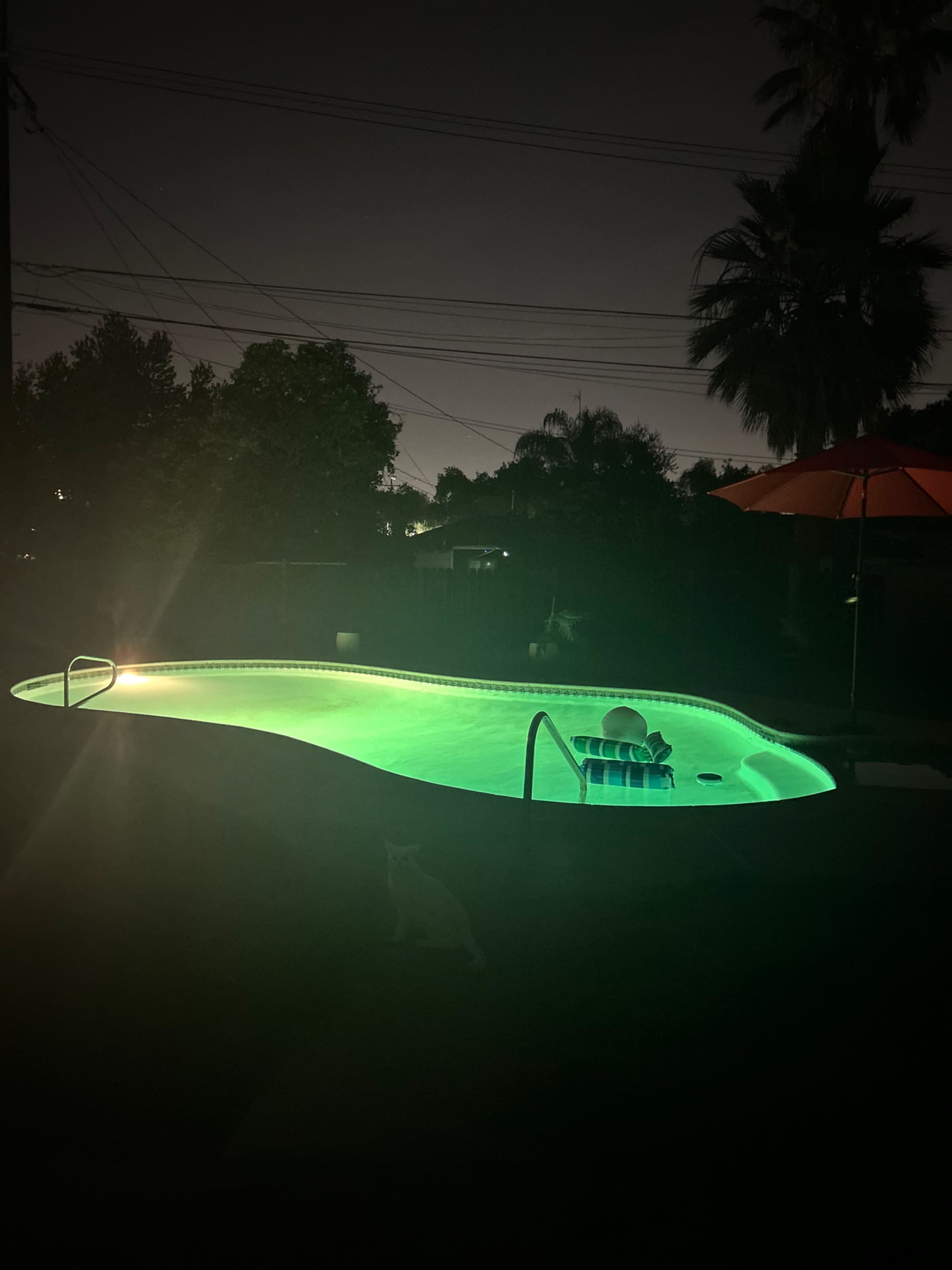 A glowing green pool is illuminated at night, surrounded by trees and an umbrella.