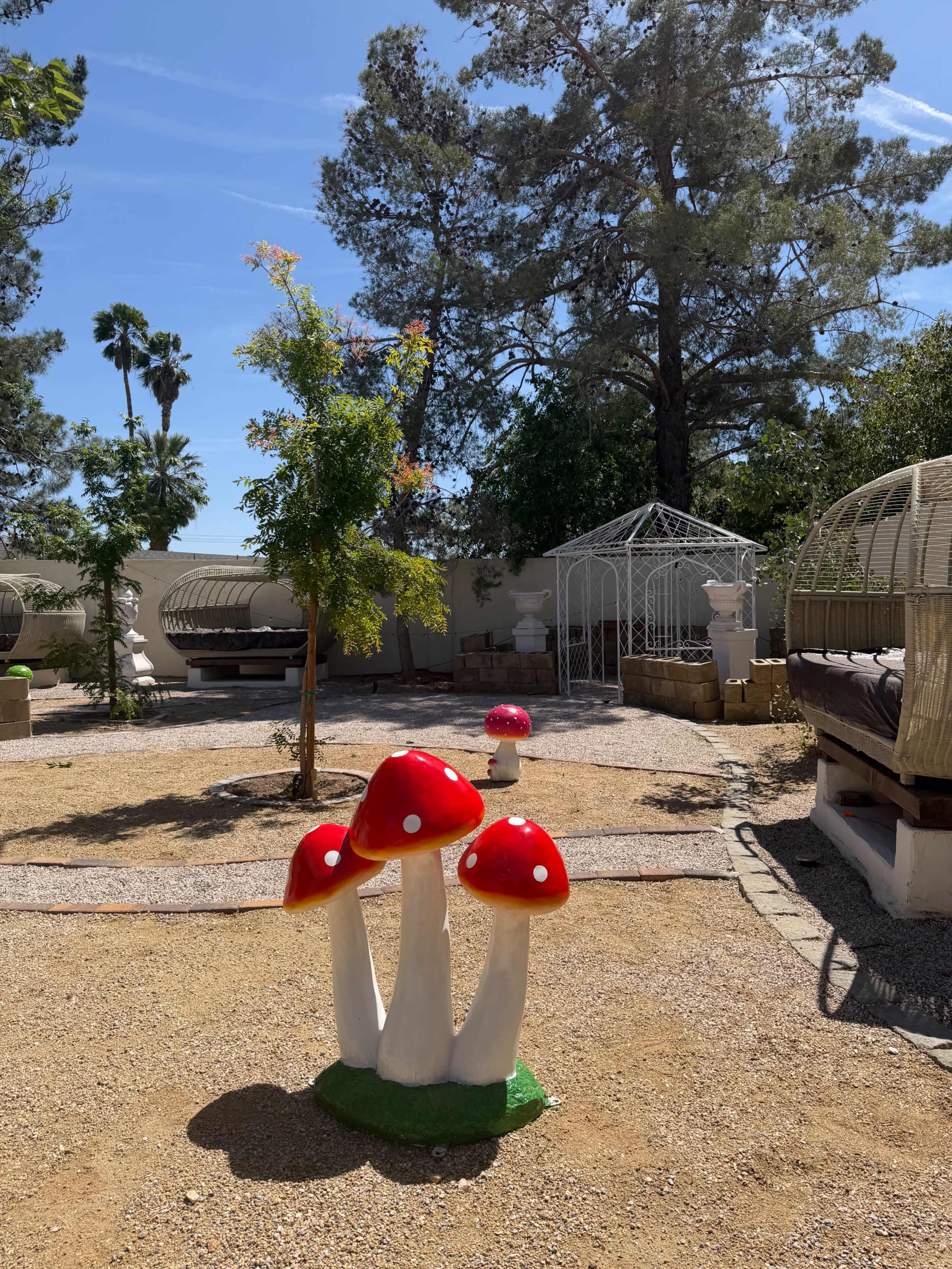 Mushroom Fairy Garden PhotoShoot Outdoor Area Image in The Section 10, Las Vegas, NV