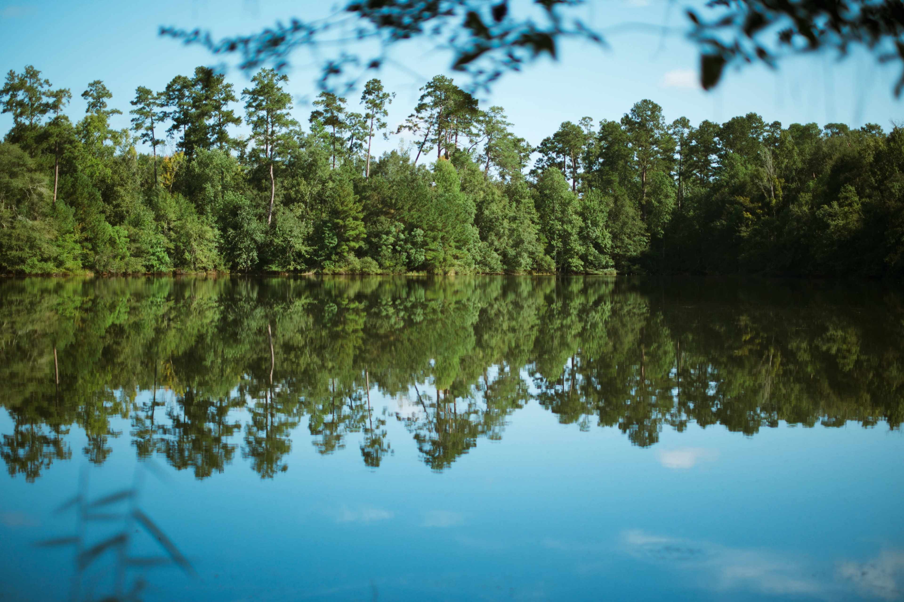 A calm lake reflects the trees and sky, creating a mirror-like surface.