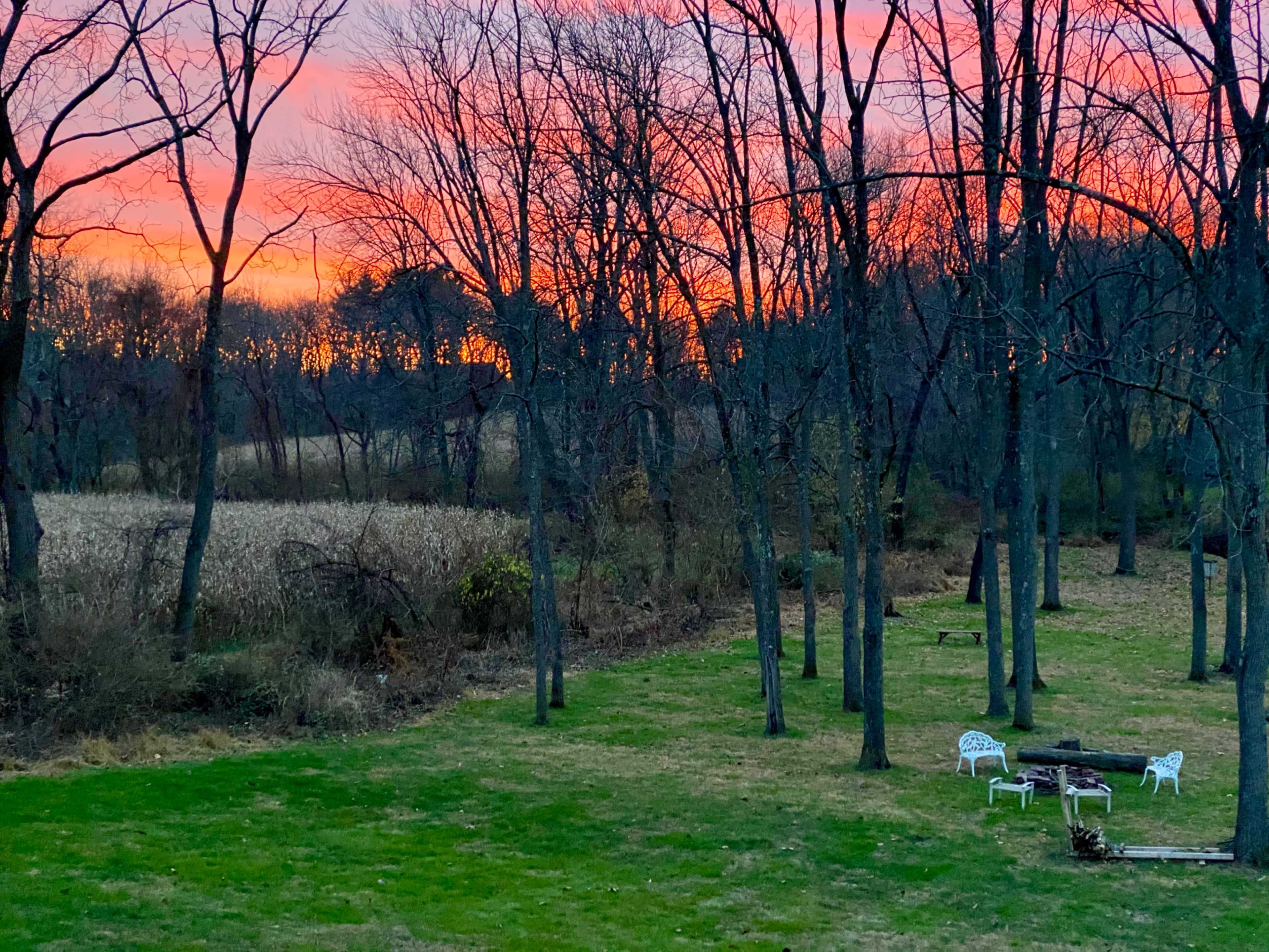 The image shows a view of a grassy area surrounded by trees at sunset, with a fire pit and white chairs in the foreground.