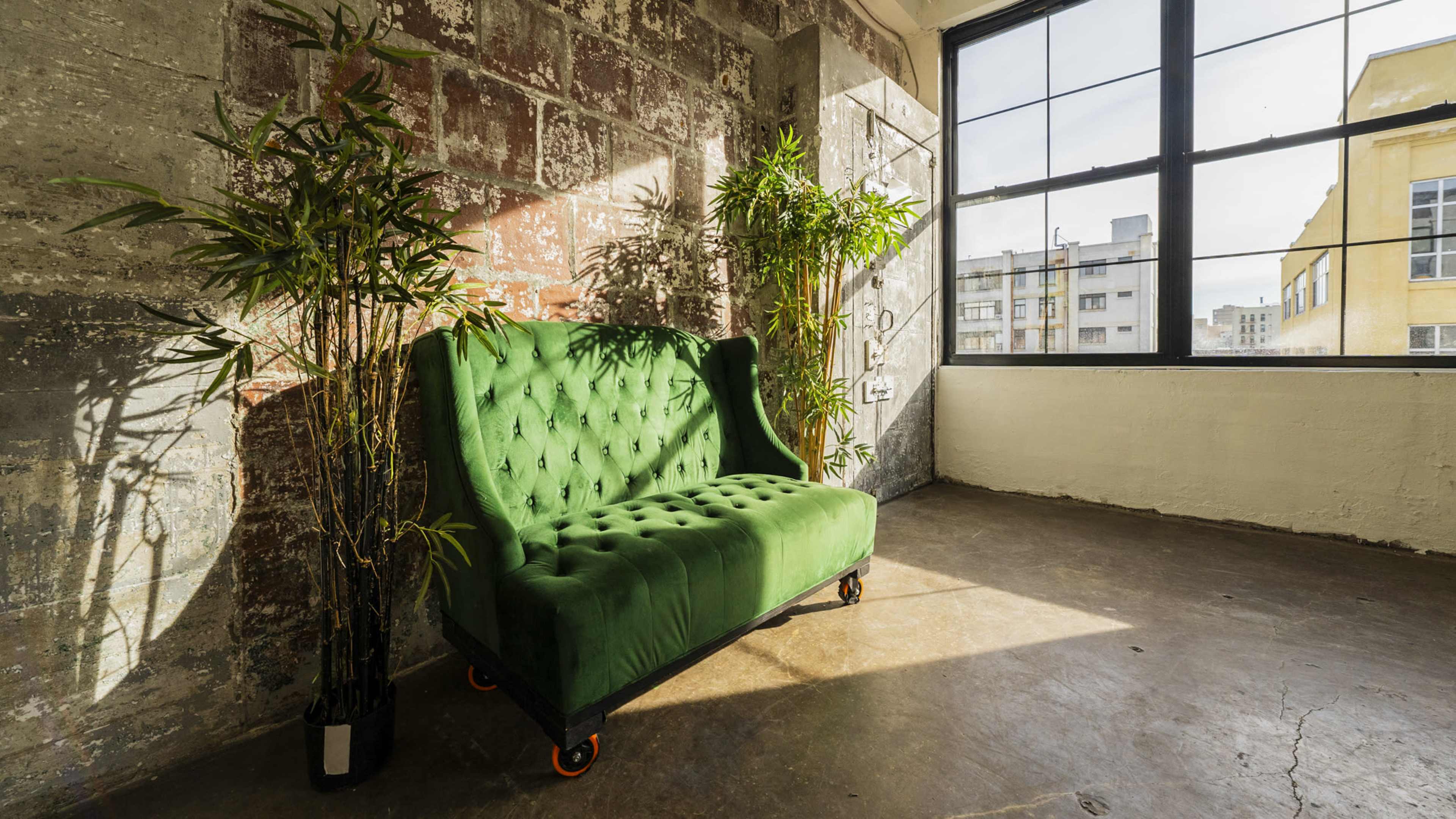 A green tufted couch positioned next to two tall plants in a sunlit industrial-style room with large windows.
