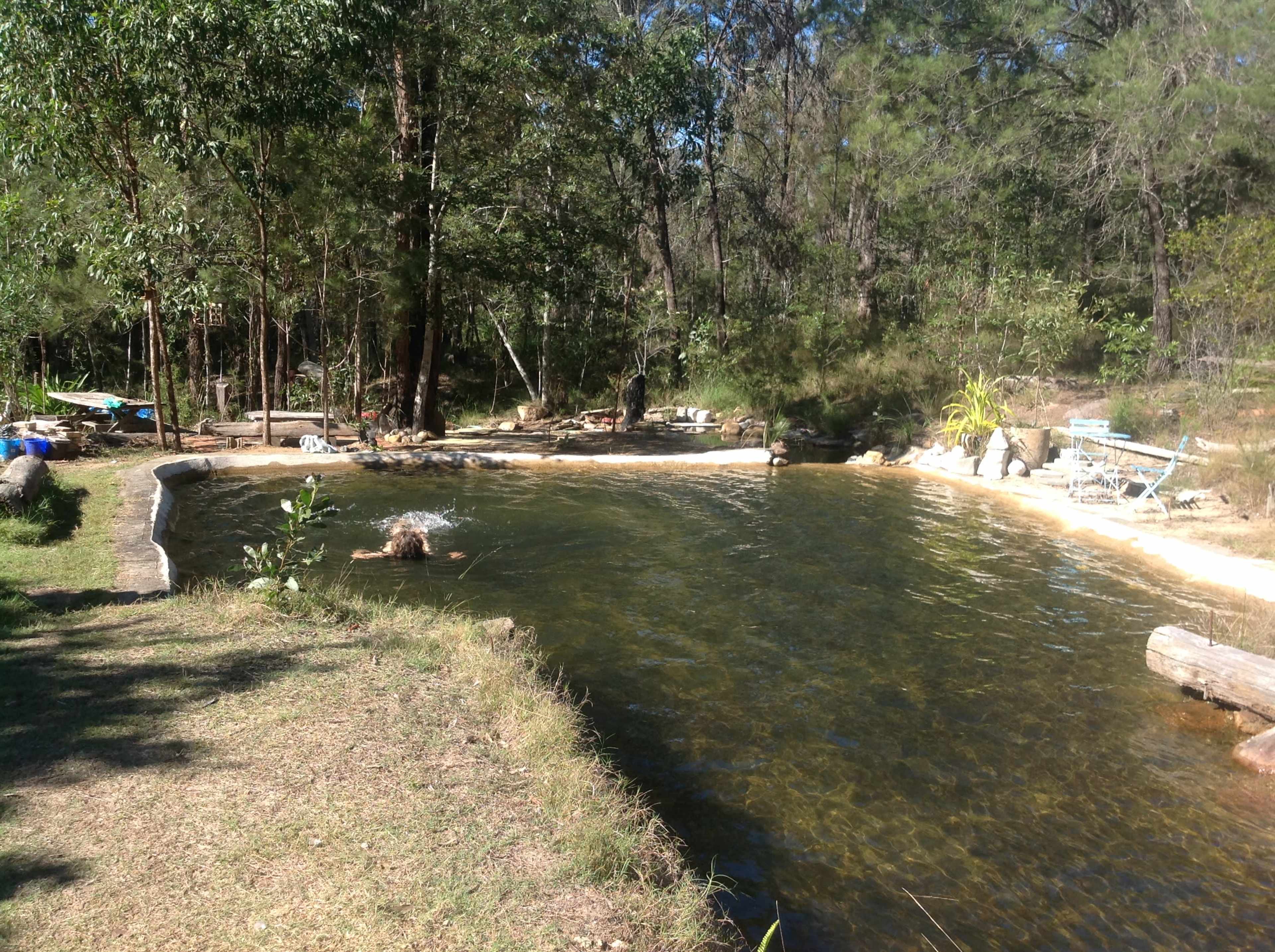 The image shows a natural water pool surrounded by trees and a grassy area, with some seating and logs placed along the shore.