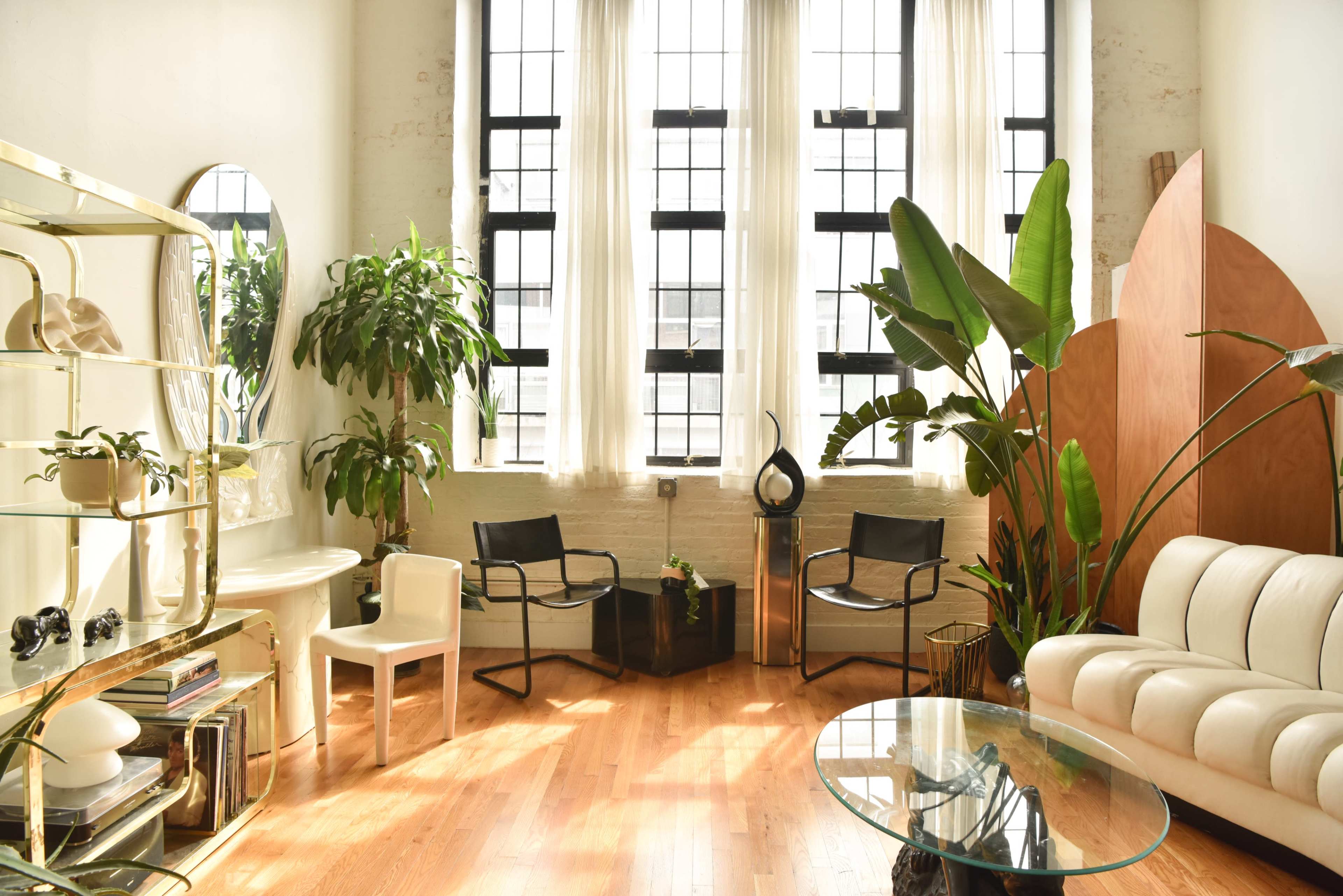 A sunlit room features large windows, a white sofa, a glass coffee table, and various indoor plants.