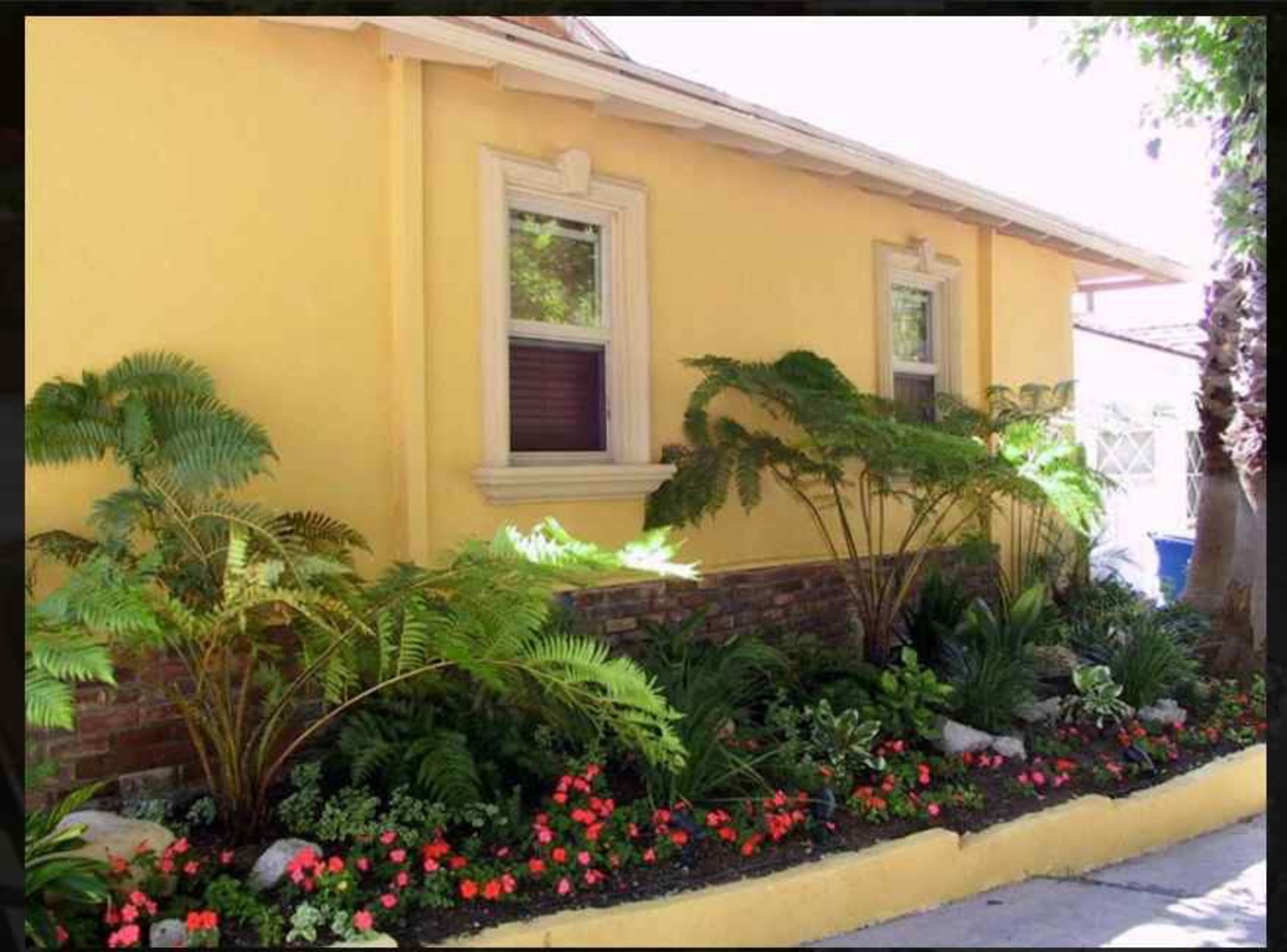 A yellow house with two windows and a landscaped garden featuring ferns, flowers, and decorative stones along the base.