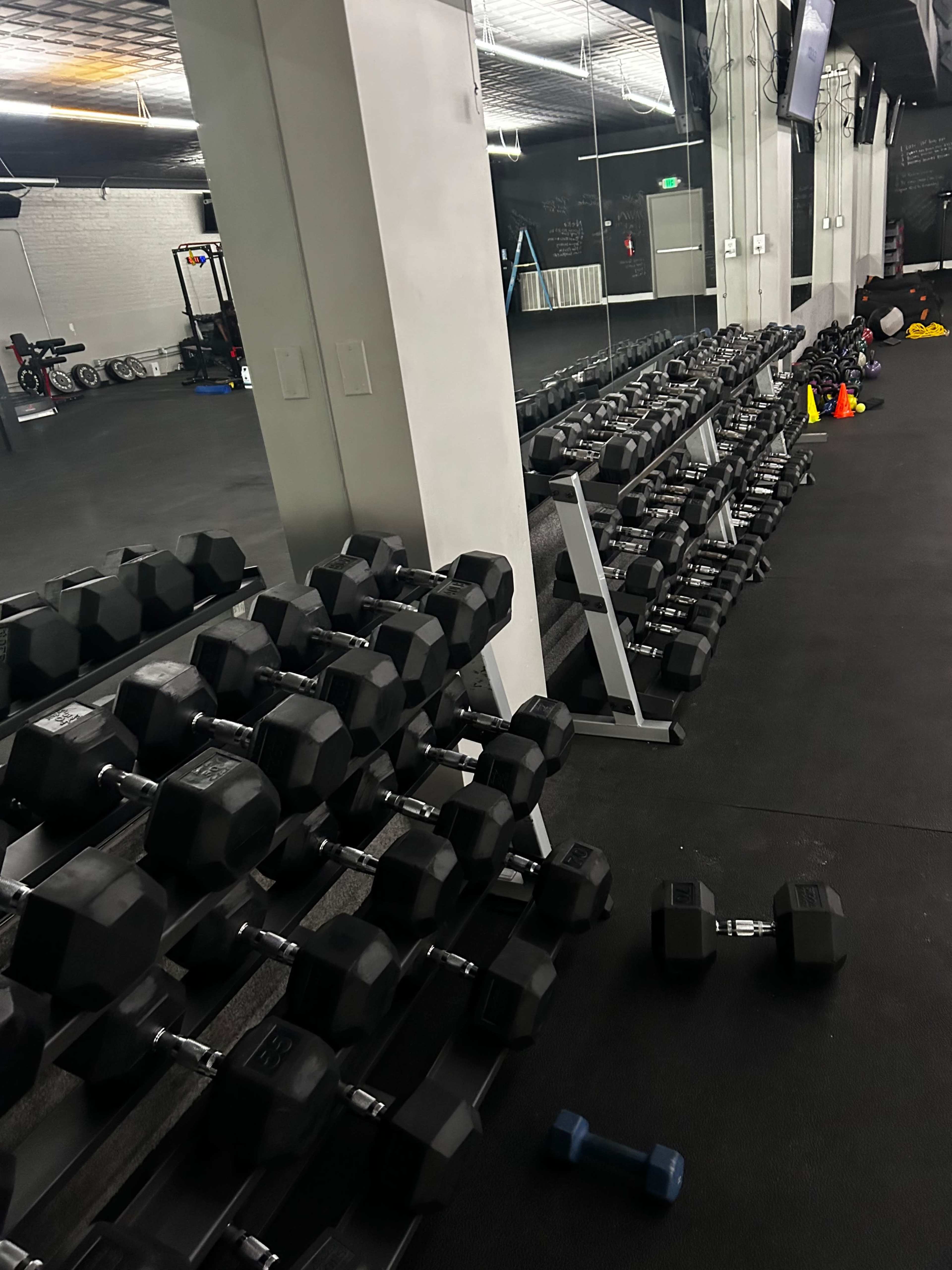 The image shows a row of neatly arranged dumbbells on a gym floor, with various fitness equipment and accessories in the background.
