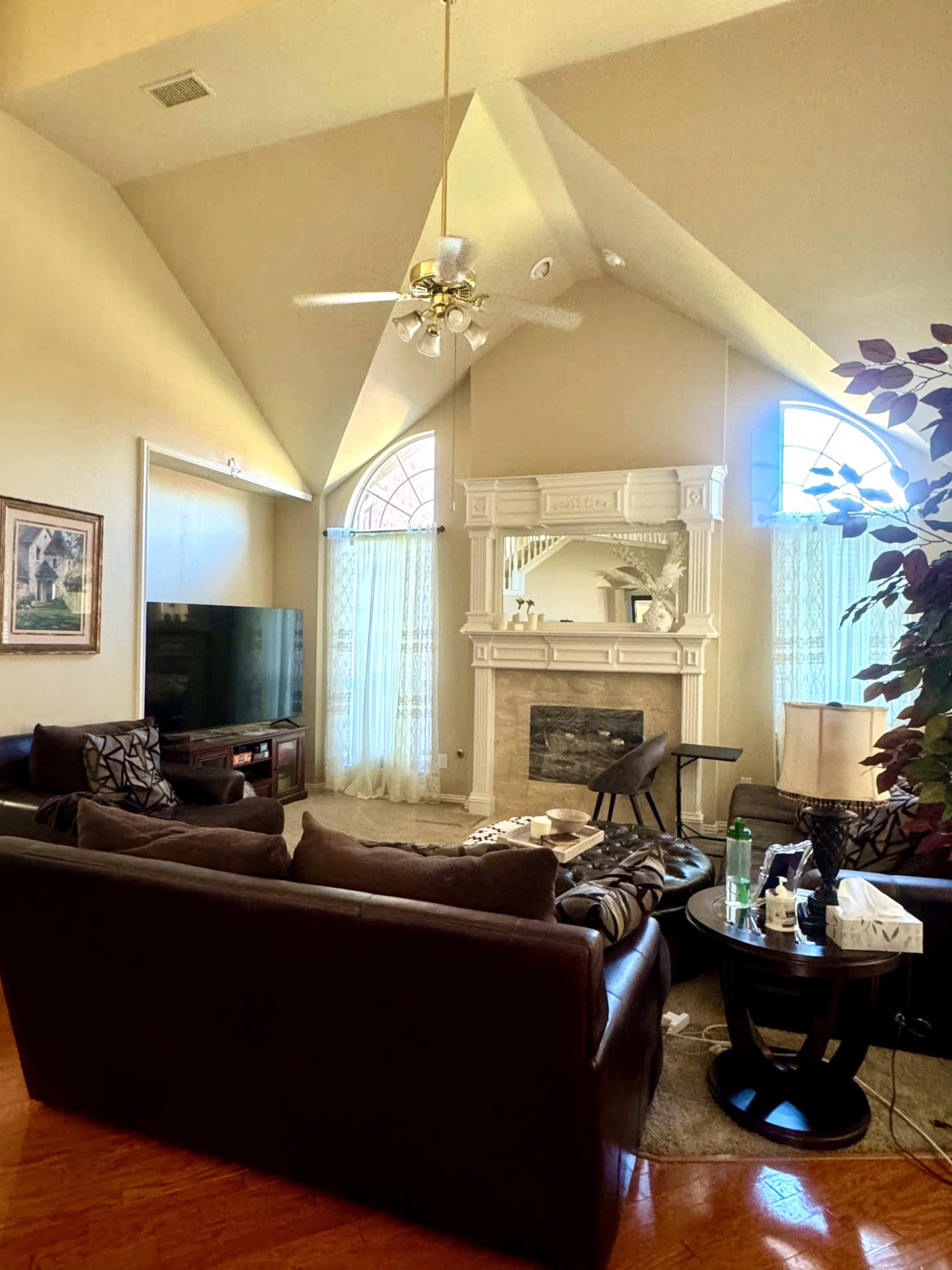 Elegant Open-floor Plan With Vaulted Ceilings Image in Watters Crossing, Allen, TX