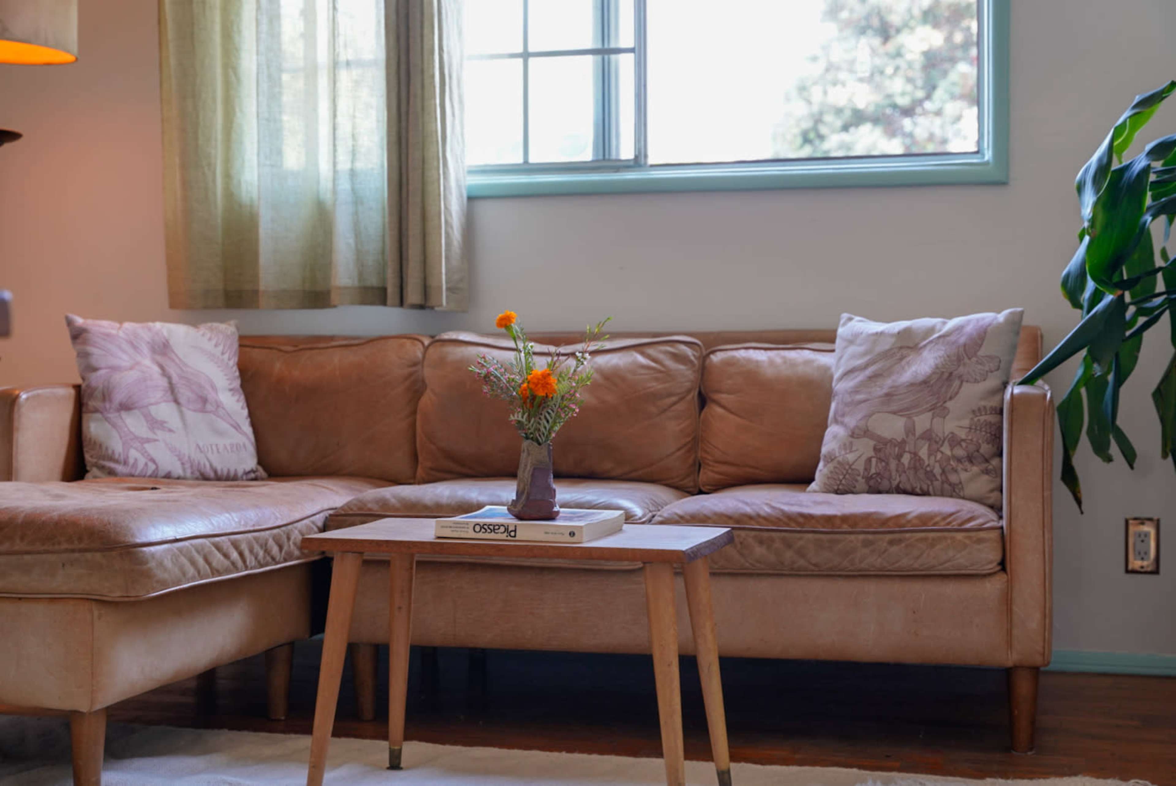 Vintage Venice Beach Bungalow Image in Venice, los angeles, CA