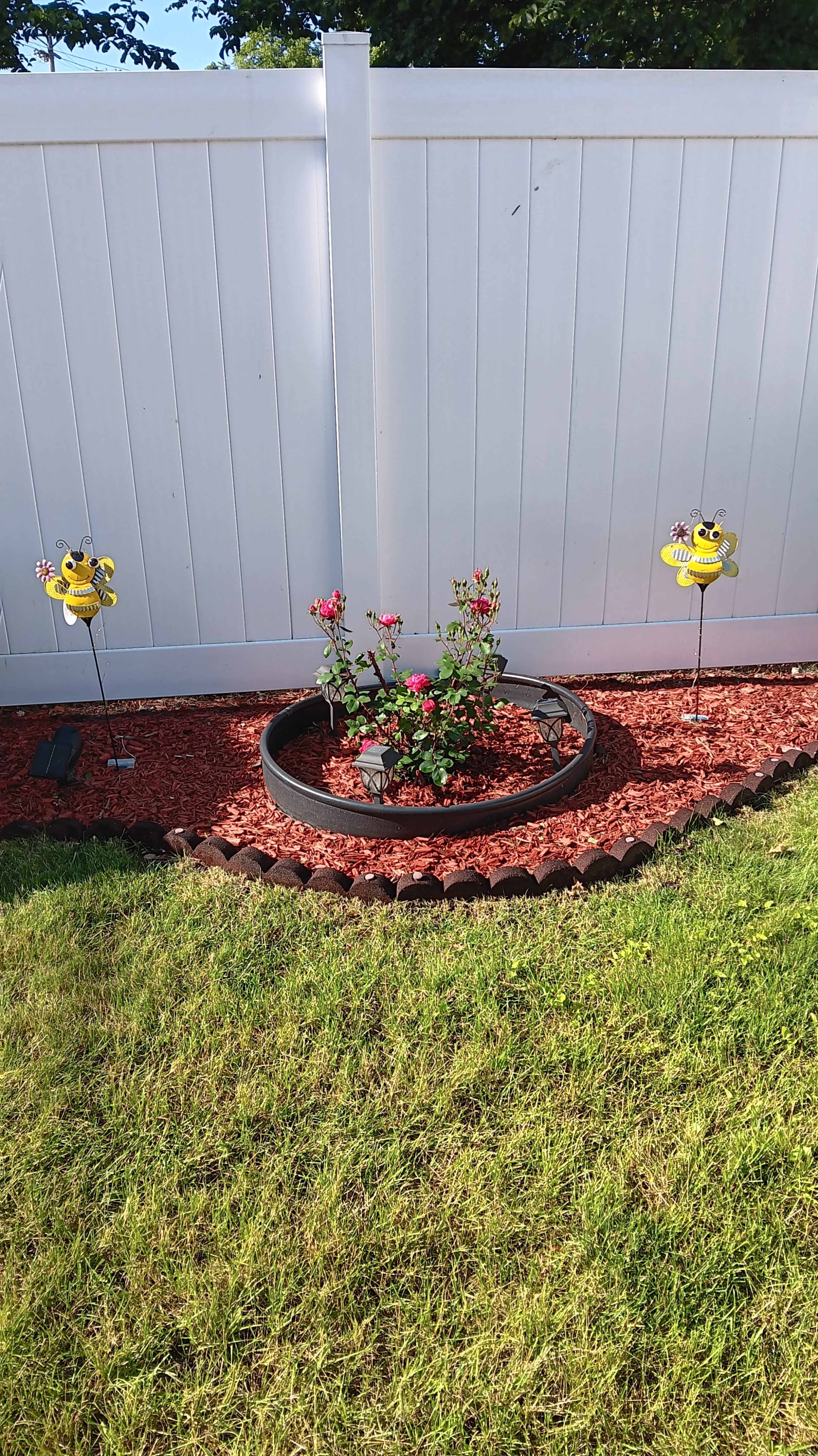 A circular flower bed with a rose bush is surrounded by red mulch and decorative yellow bee statues, set against a white fence.