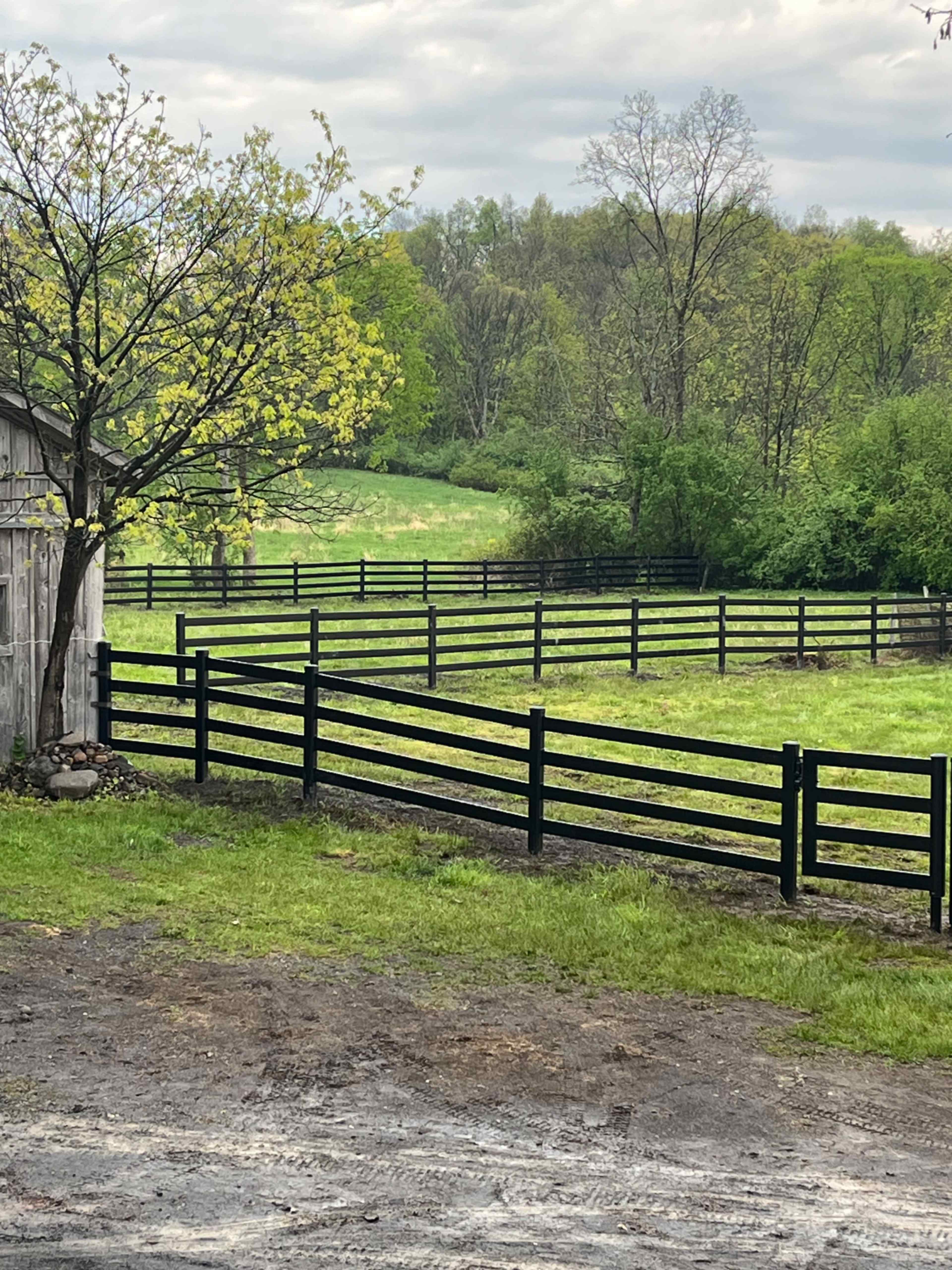 A black wooden fence encloses a grassy field, with trees and hills in the background.